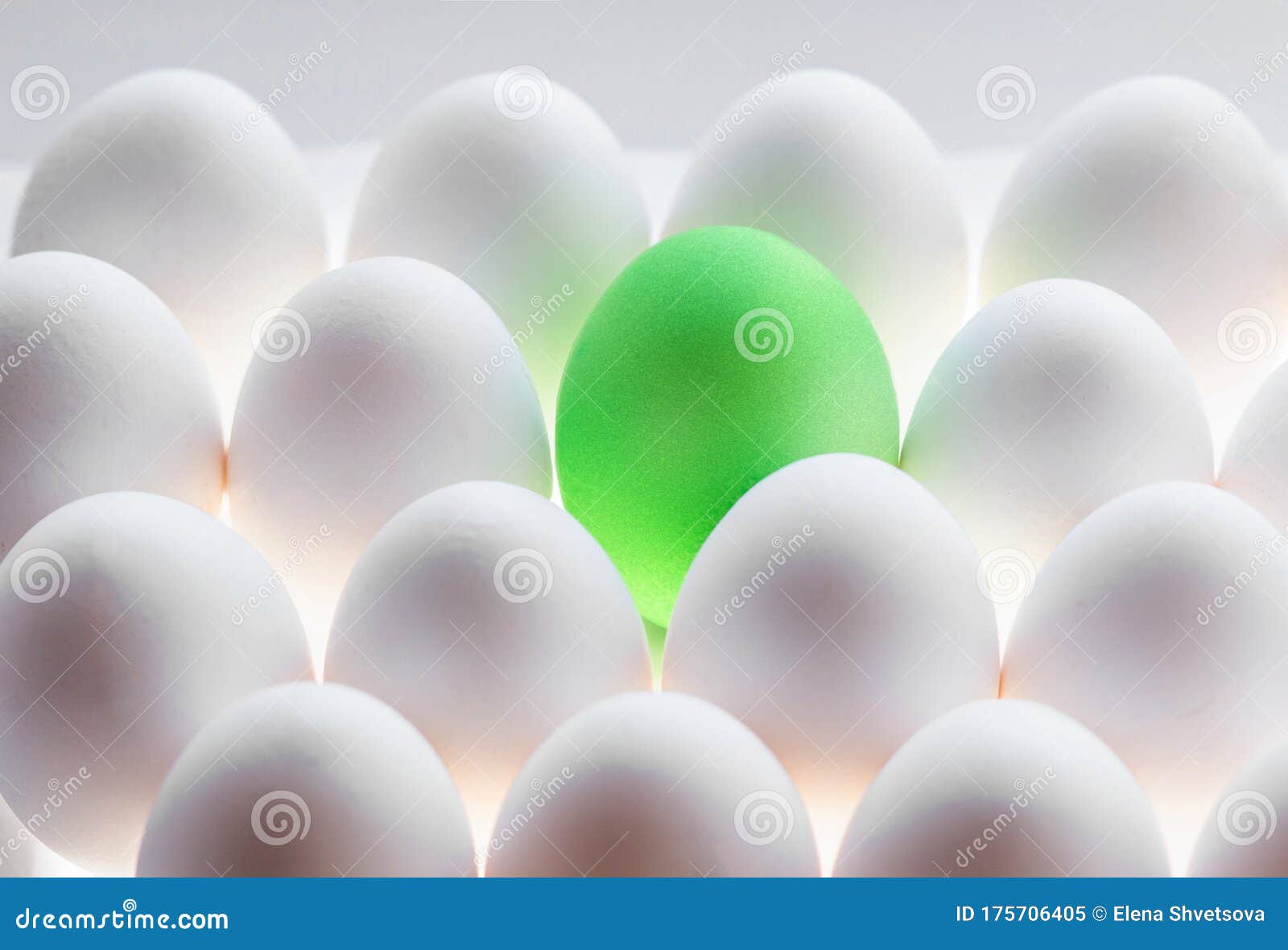 One Green Egg among White Eggs Stock Image Image of religion, basket