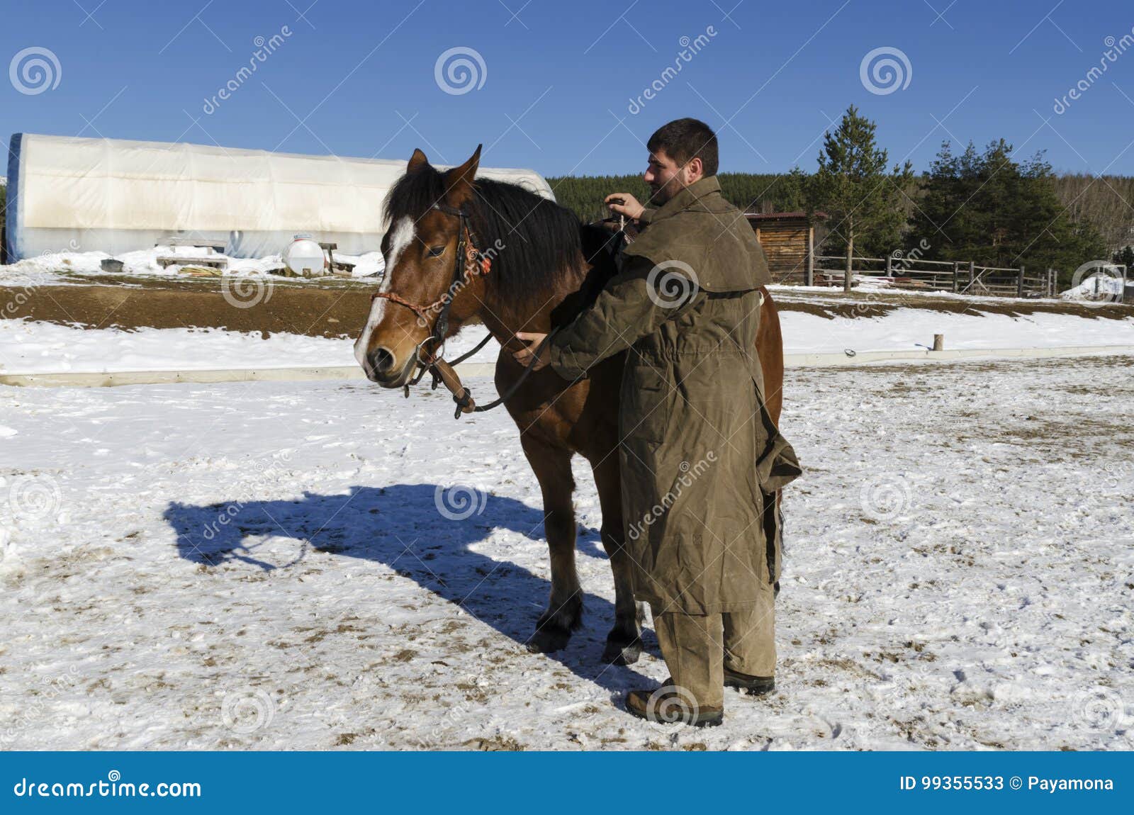 One Horse and a Man in Front of Horse Barn Stock Image Image of base