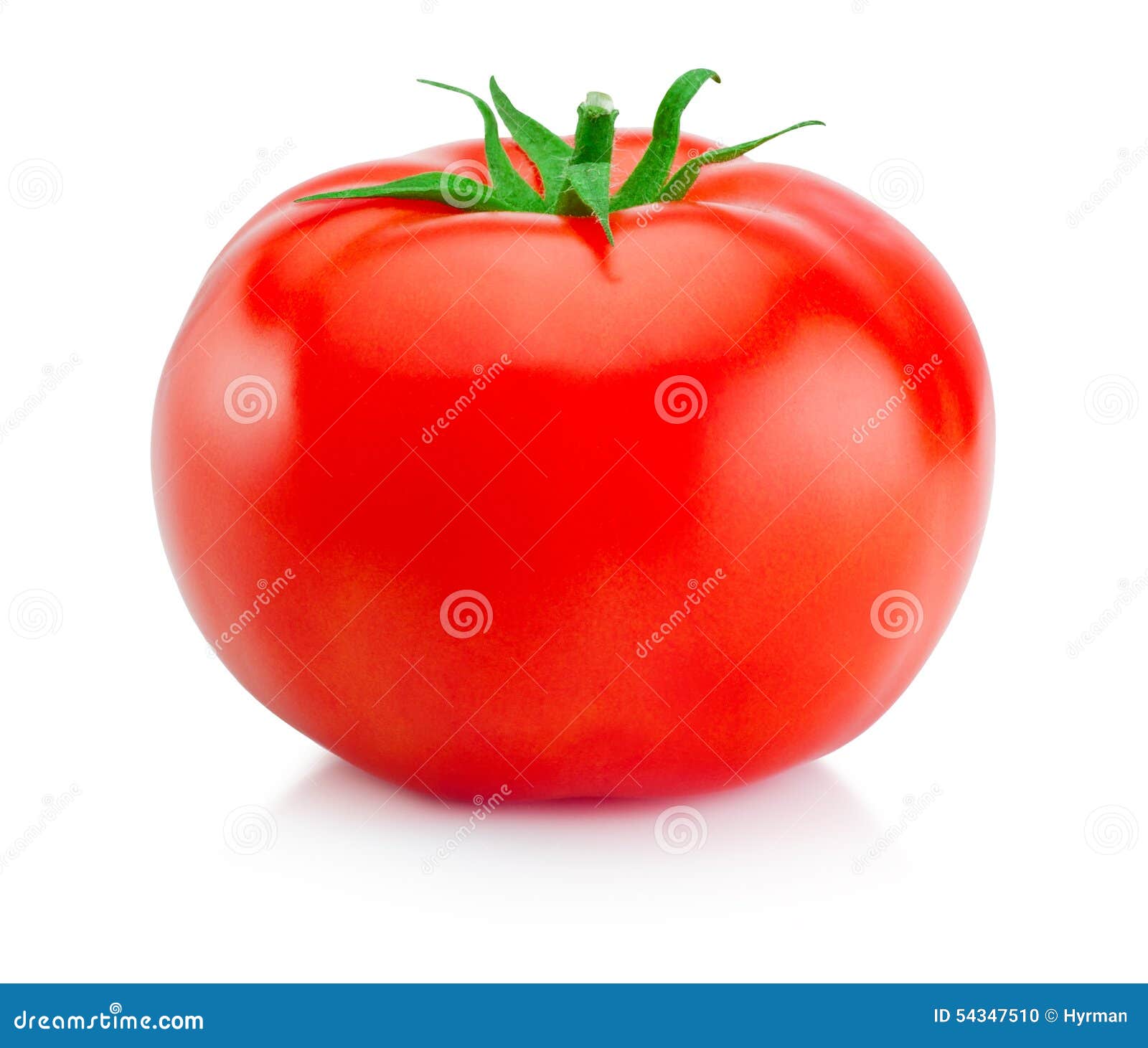 one juicy red tomato  on white background