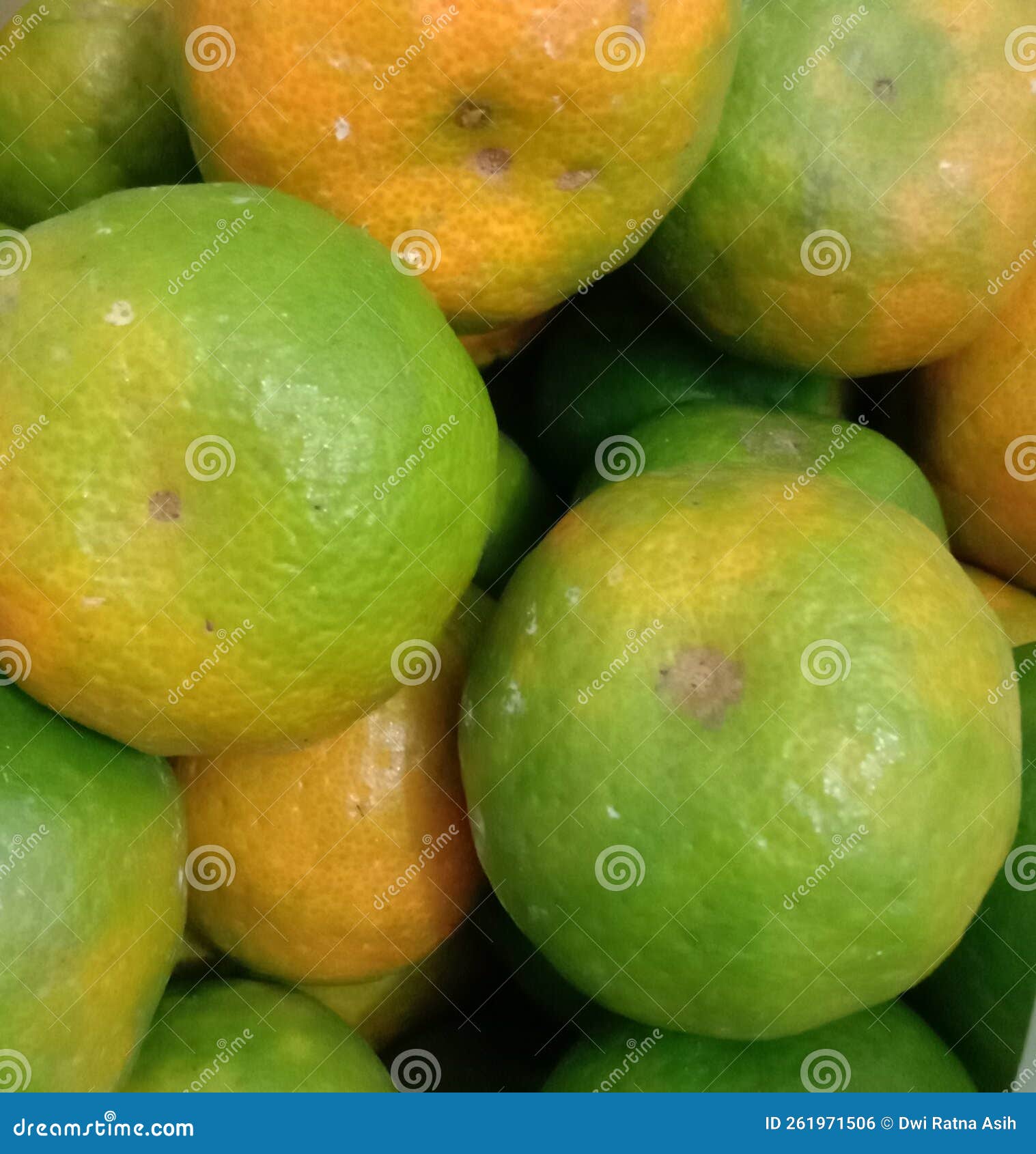 One of Kind Orange Fruits is Batu 55 Stock Photo Image of orange