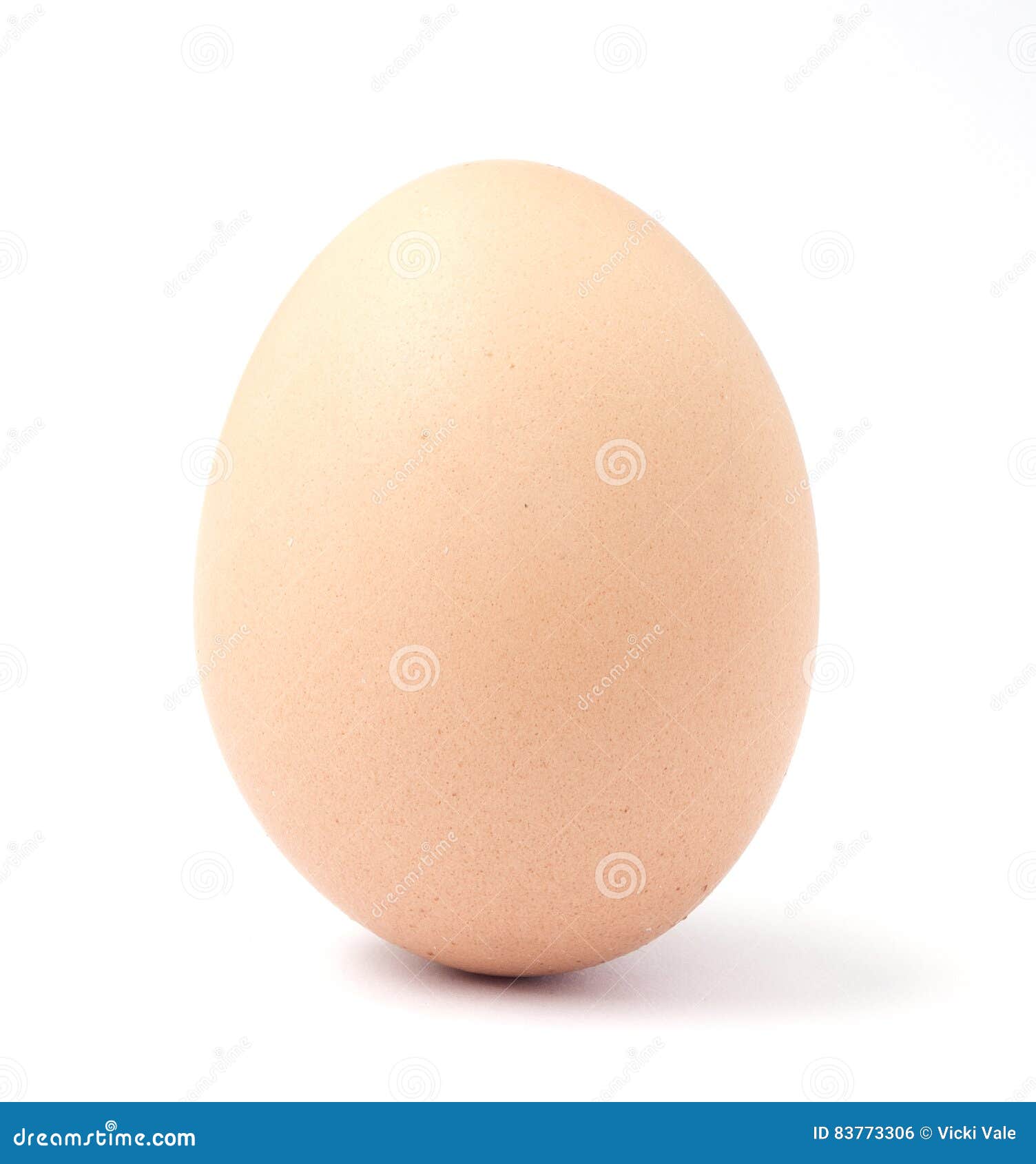 One Light Brown Chicken Egg Stock Photo Image Of Chicken Protein