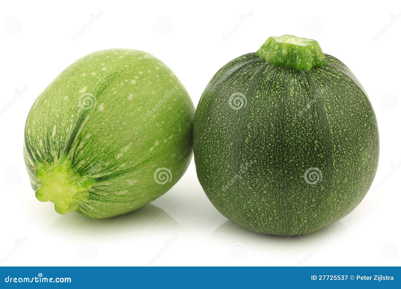 One Light Green and a Green Round Zucchini Stock Image Image of