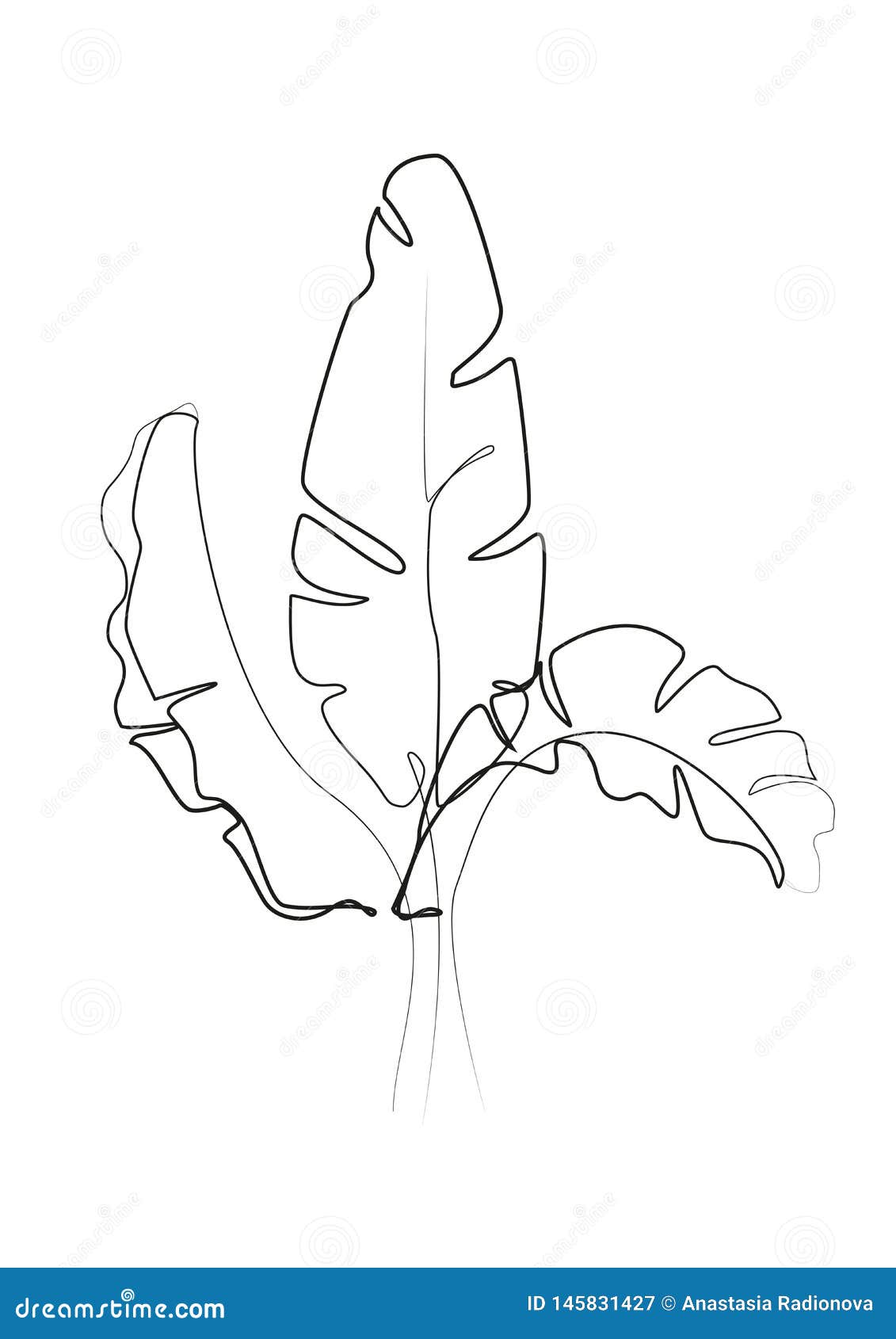 banana moon sketch banana moon sketch