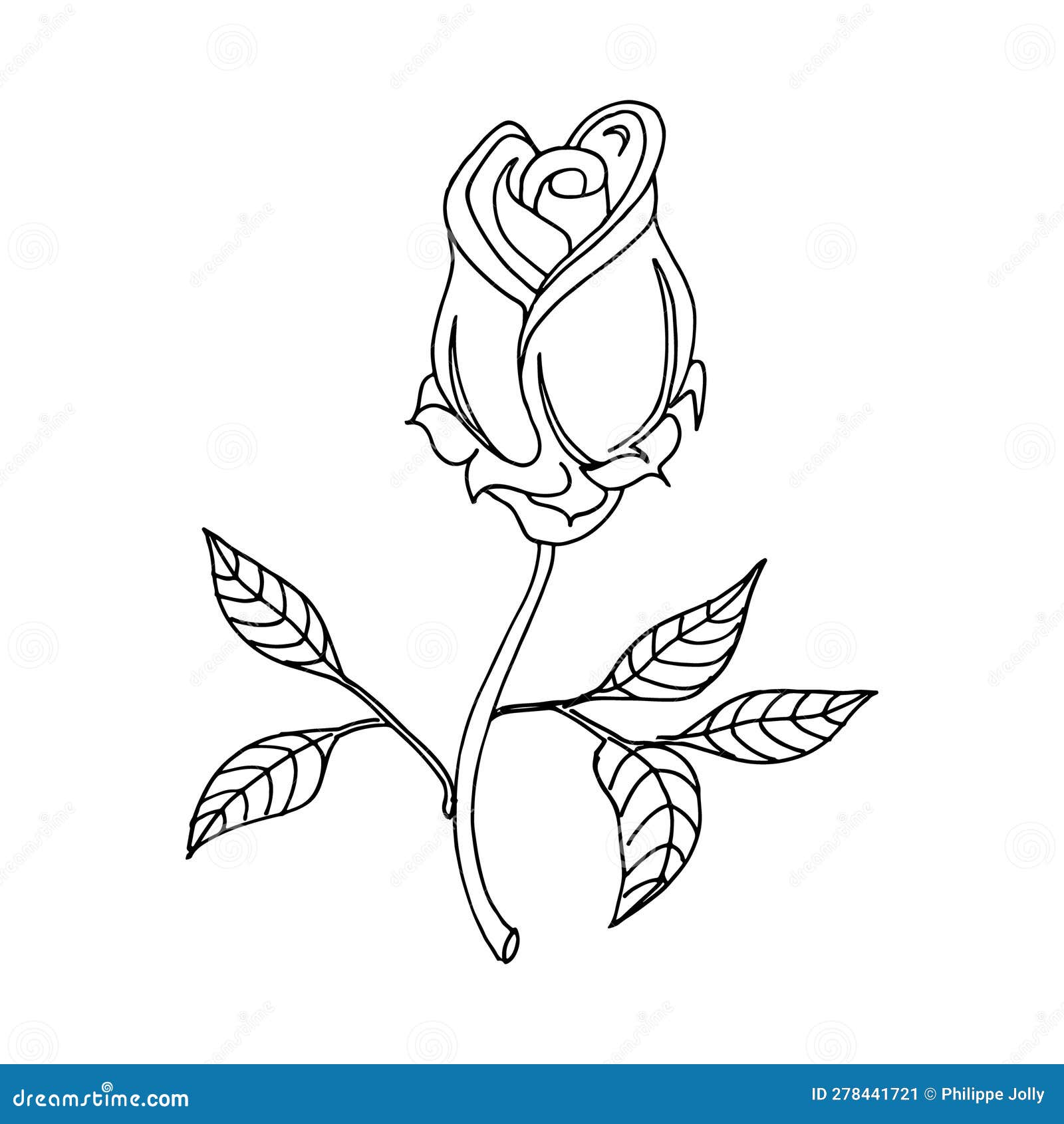 One Line Drawing. the Garden Rose with Leaves. Hand Drawn Sketch ...