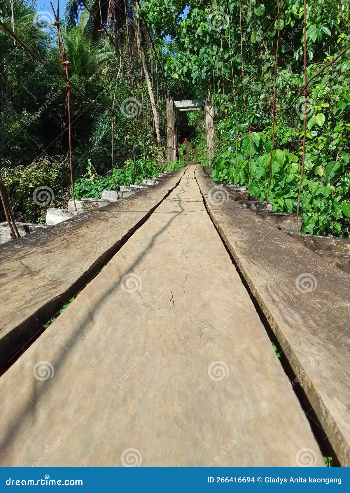 One of the Longest Bridges, the One in the Village Stock Photo Image