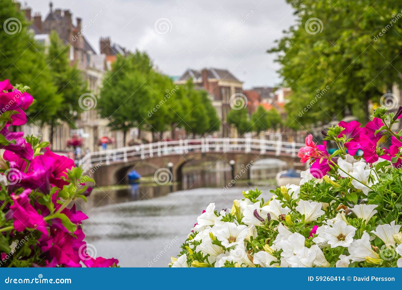 one of many canals in leiden, holland