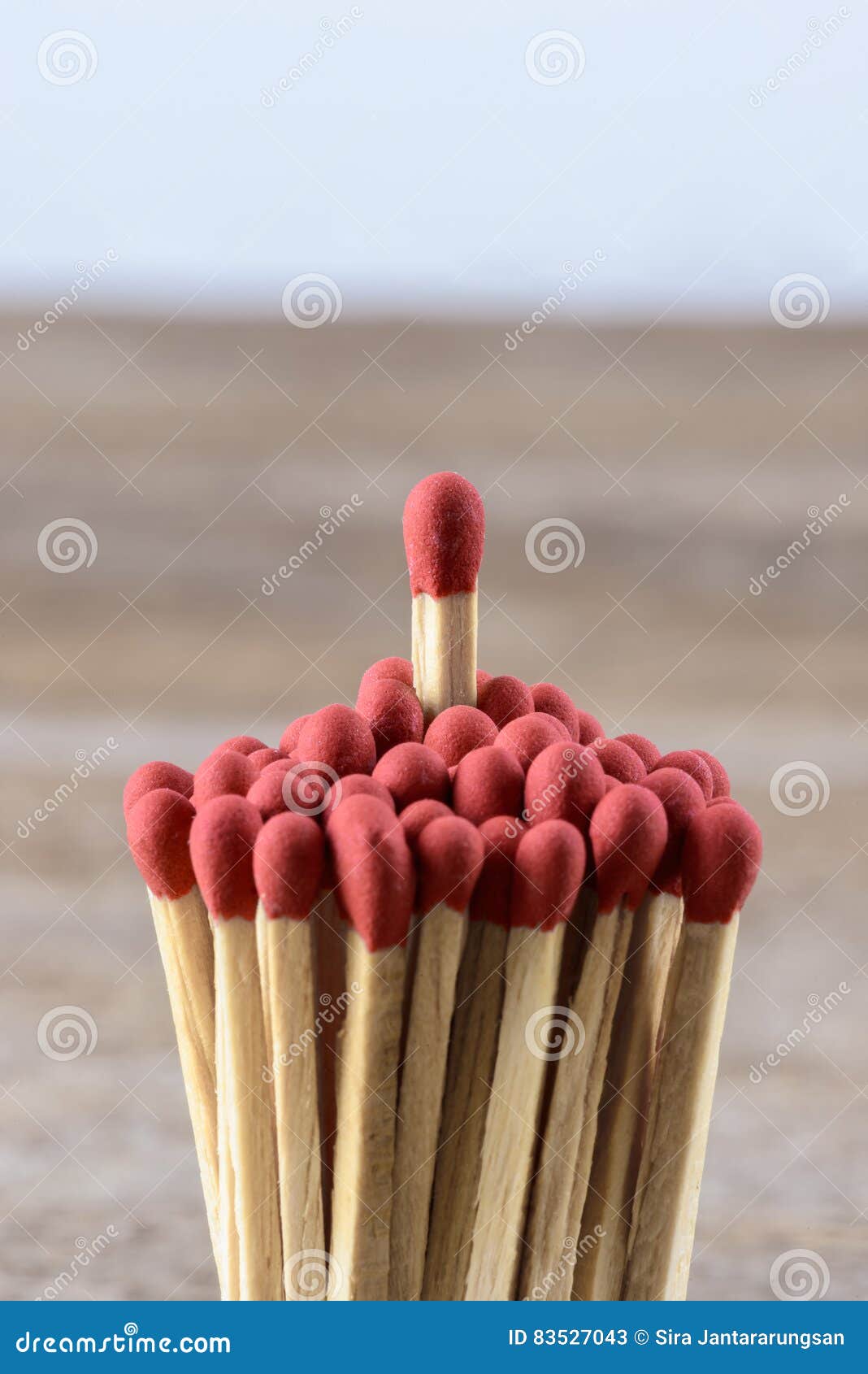 One Match Standing Out from the Crowd Stock Image Image of boss
