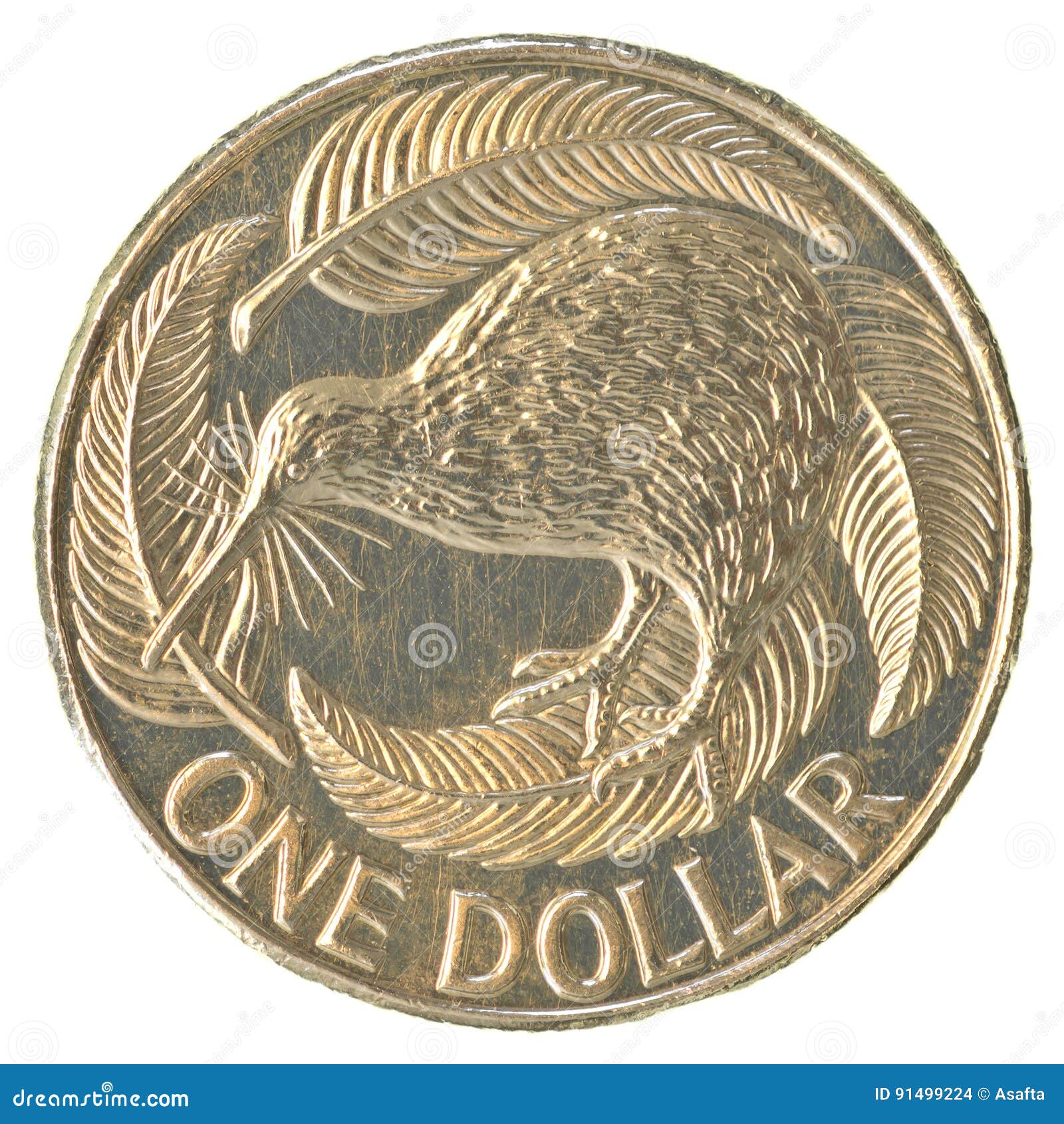 New Zealand One Dollar Coin Isolated On White Stock Photography new-zealand-one-dollar-coin-isolated-on-white-stock-photography