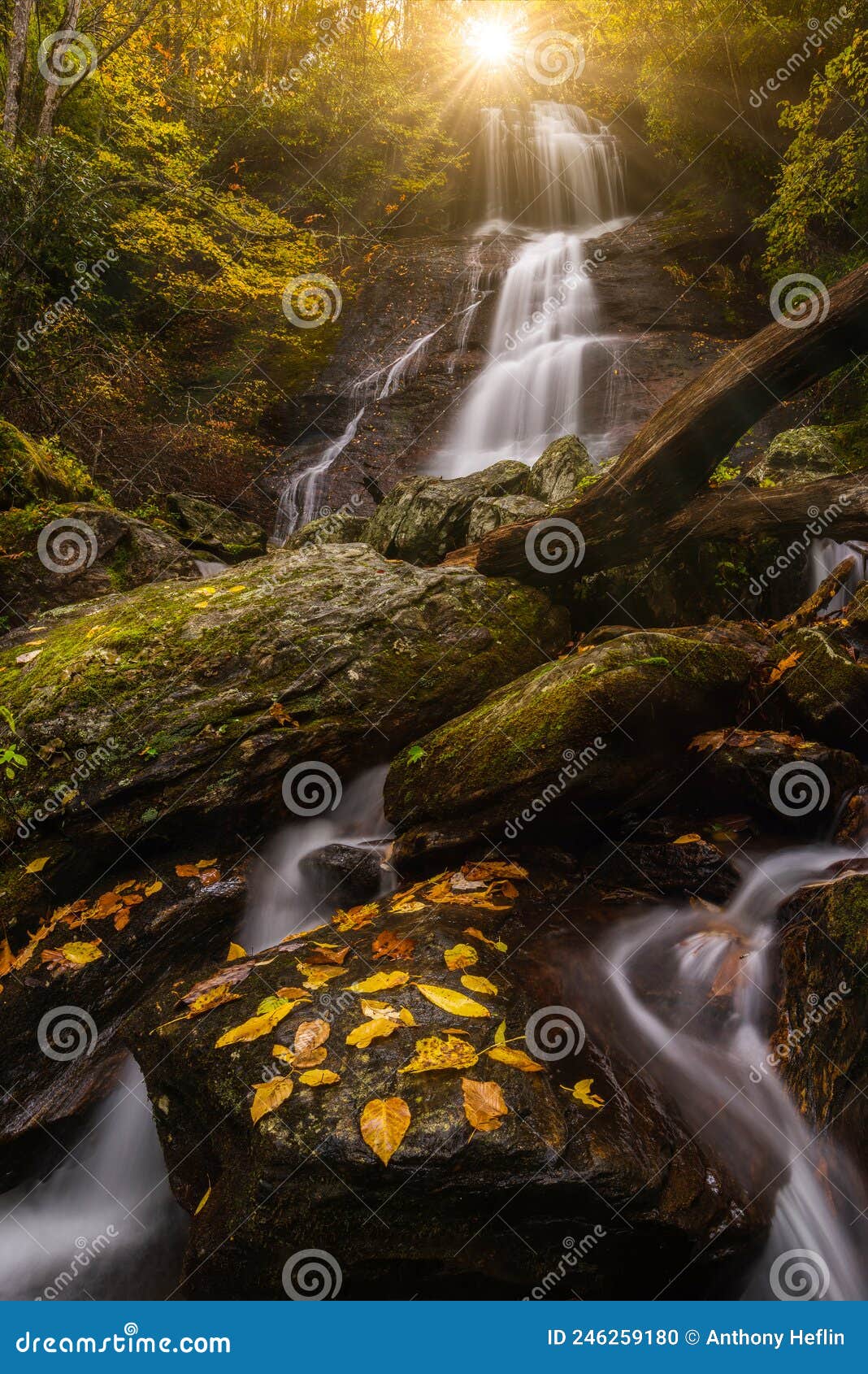 sceninc waterfall and autumn forest canopy