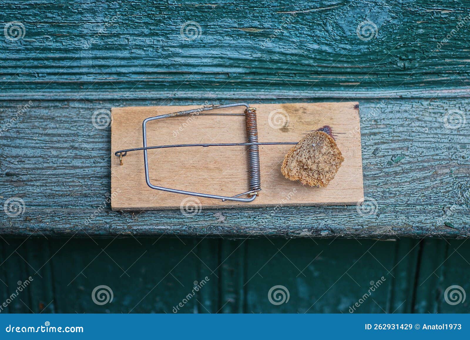 Wooden Mouse Trap Stock Photo - Download Image Now - Animal