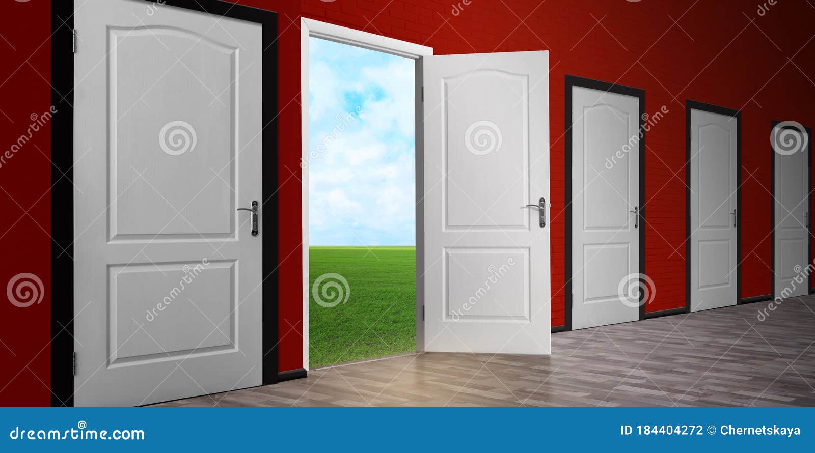 one open door among closed ones. concept of choice