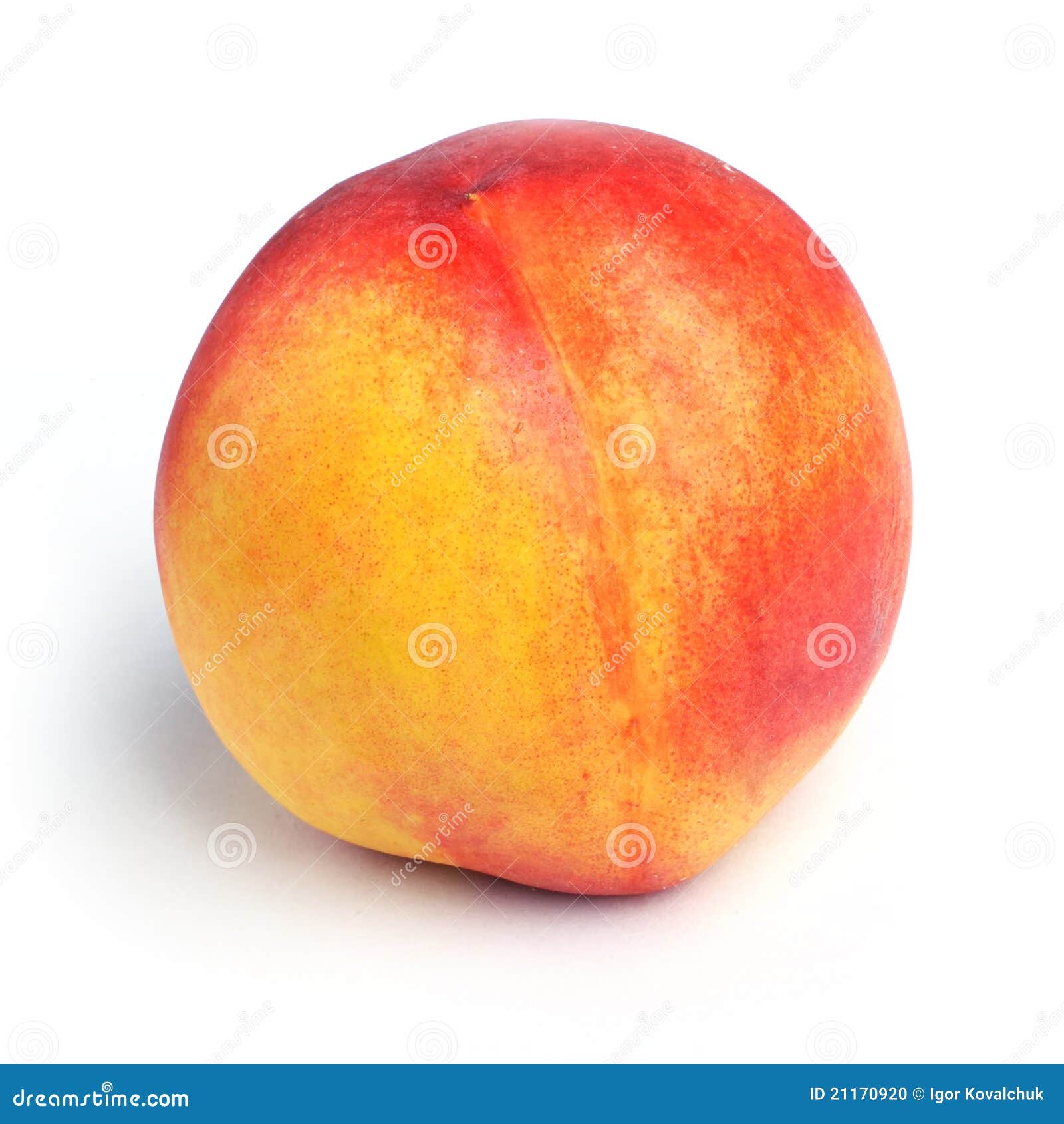One Peach Stock Photo Image Of Pink Peach Color Macro