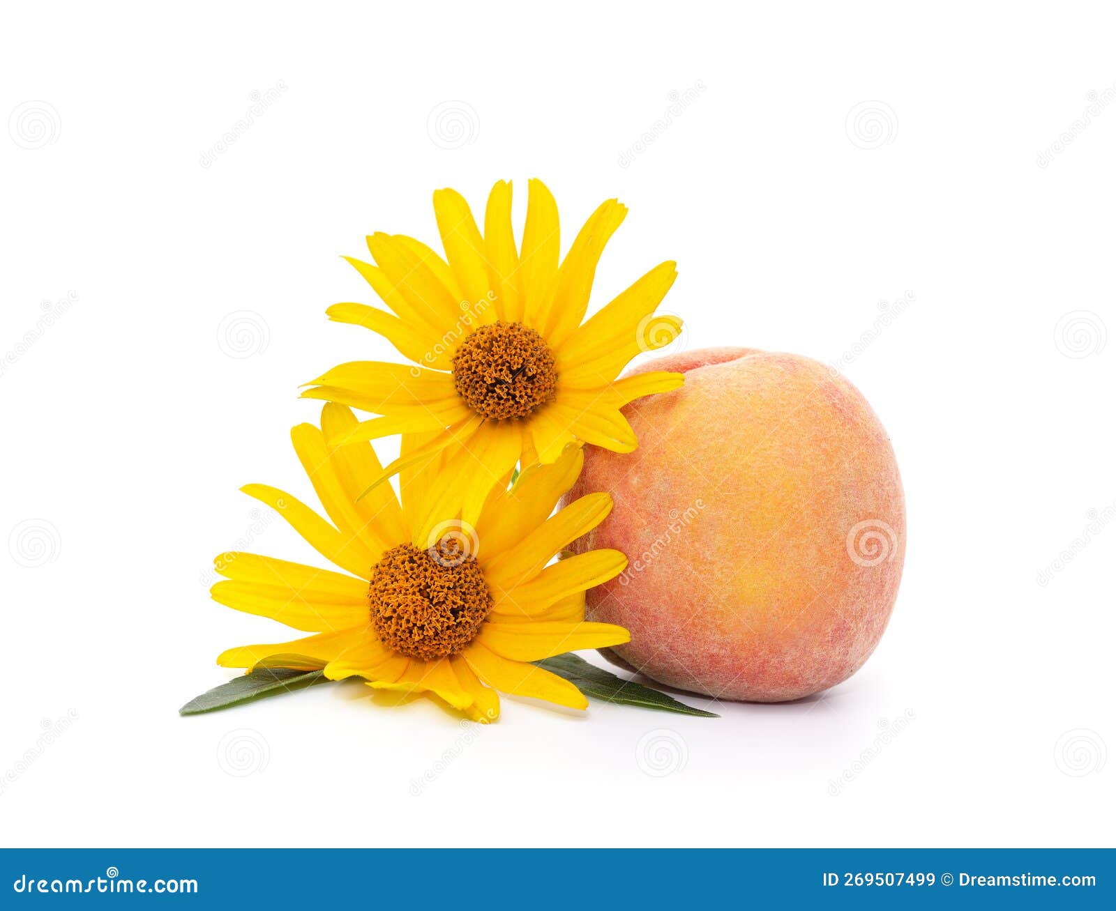 One peach with flowers stock image. Image of juicy, delicious 269507499