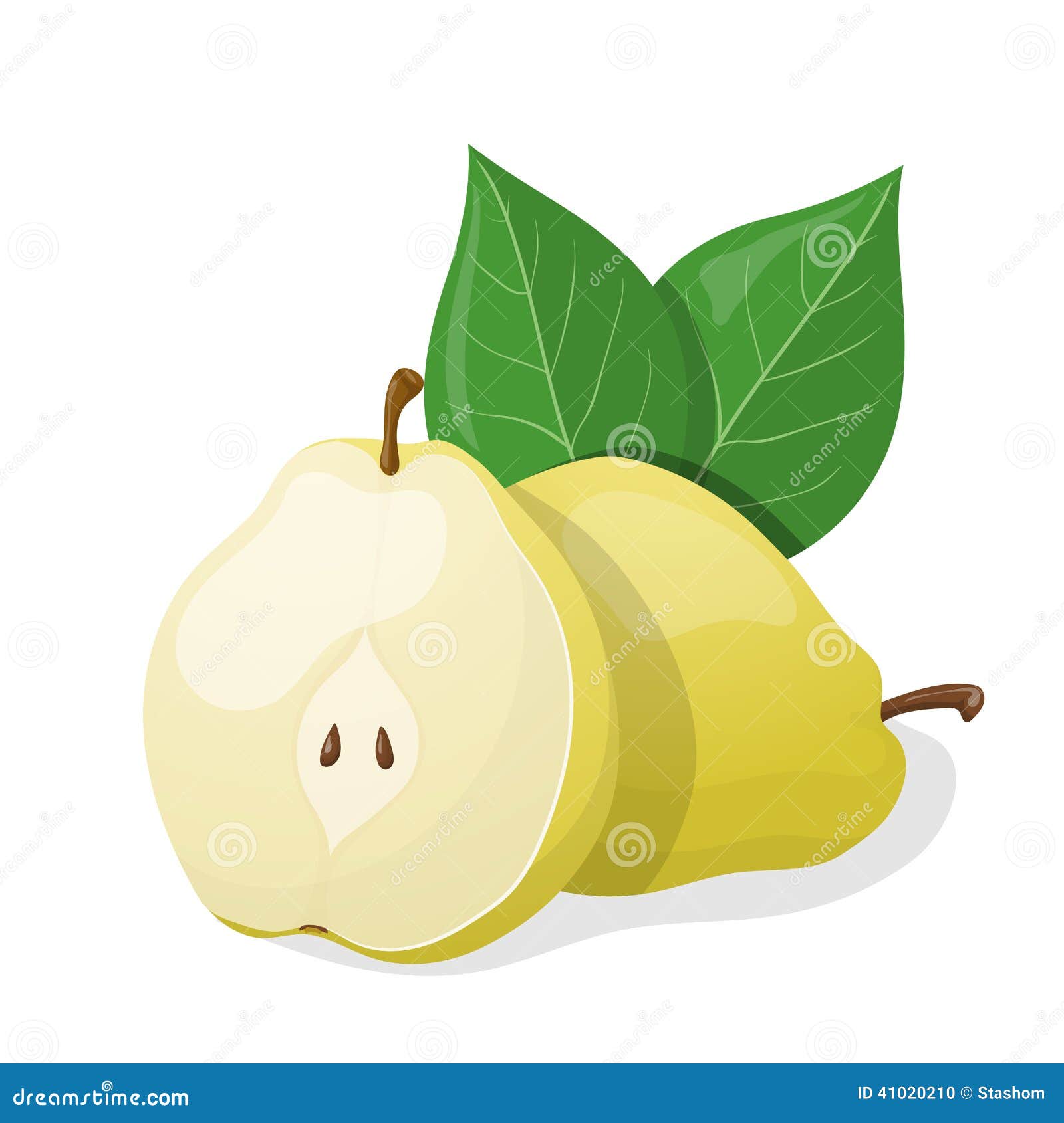 One Pear and Half of Pear. Vector Illustration Stock Vector