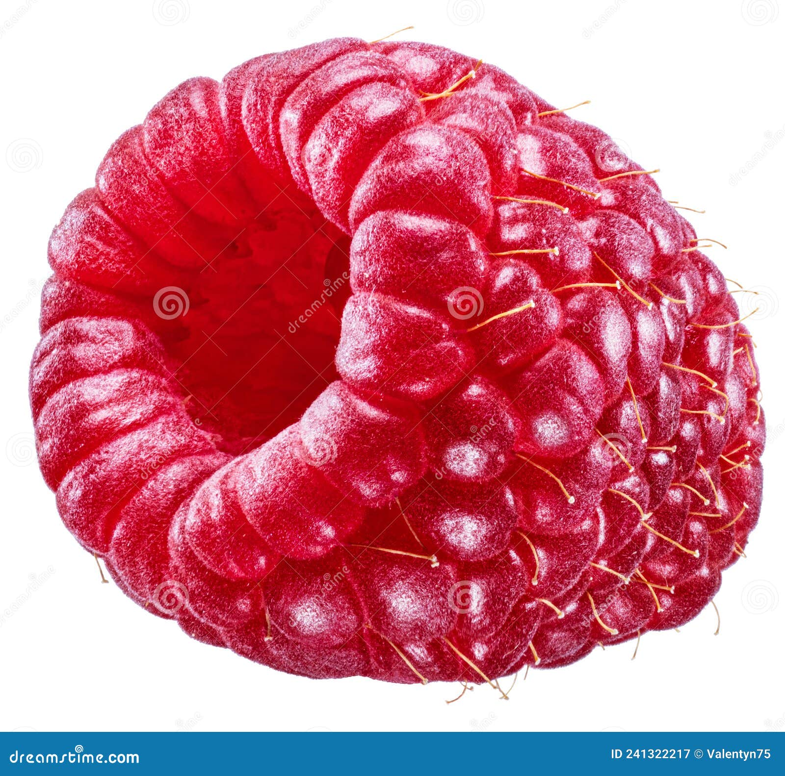 one perfect red-fruited raspberry on white background. file contains clipping path