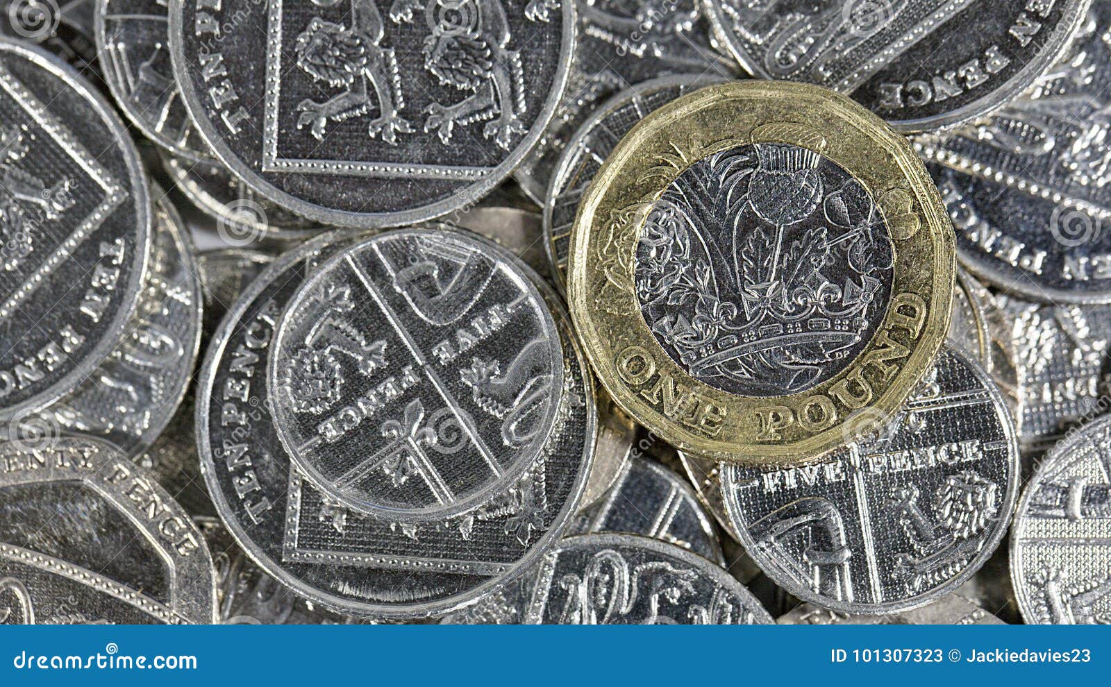 one pound coin - british currency