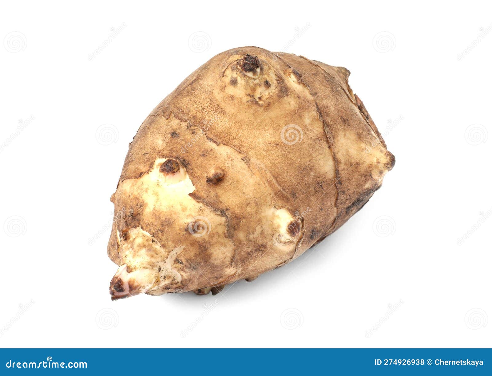 One Raw Jerusalem Artichoke Isolated on White Stock Photo Image of
