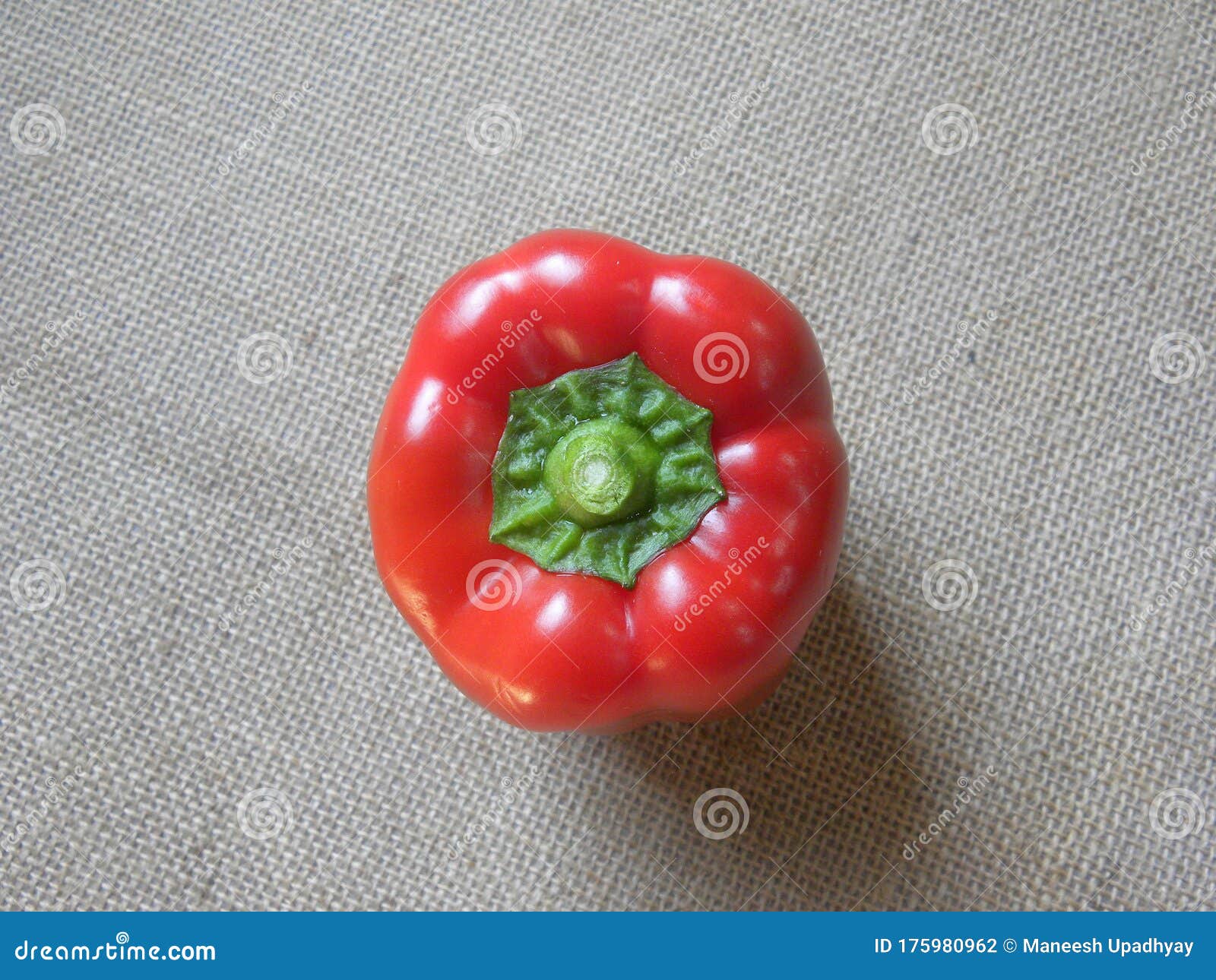 One Red Color Raw Whole Bell Pepper Stock Photo Image of delicious