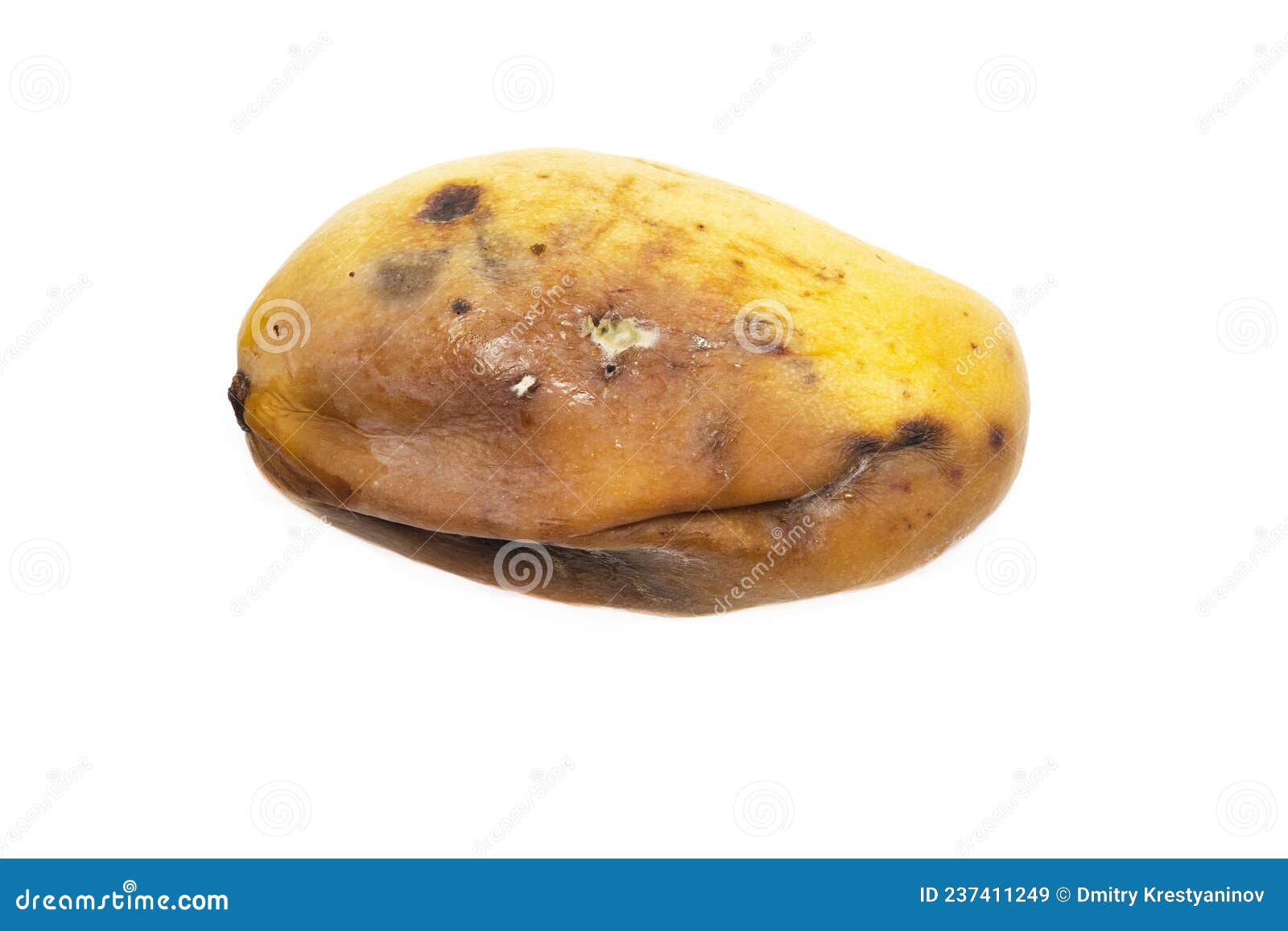 Rotten Mango Fruit Isolated, Background, Bad, Black PNG Transparent Image  and Clipart for Free Download