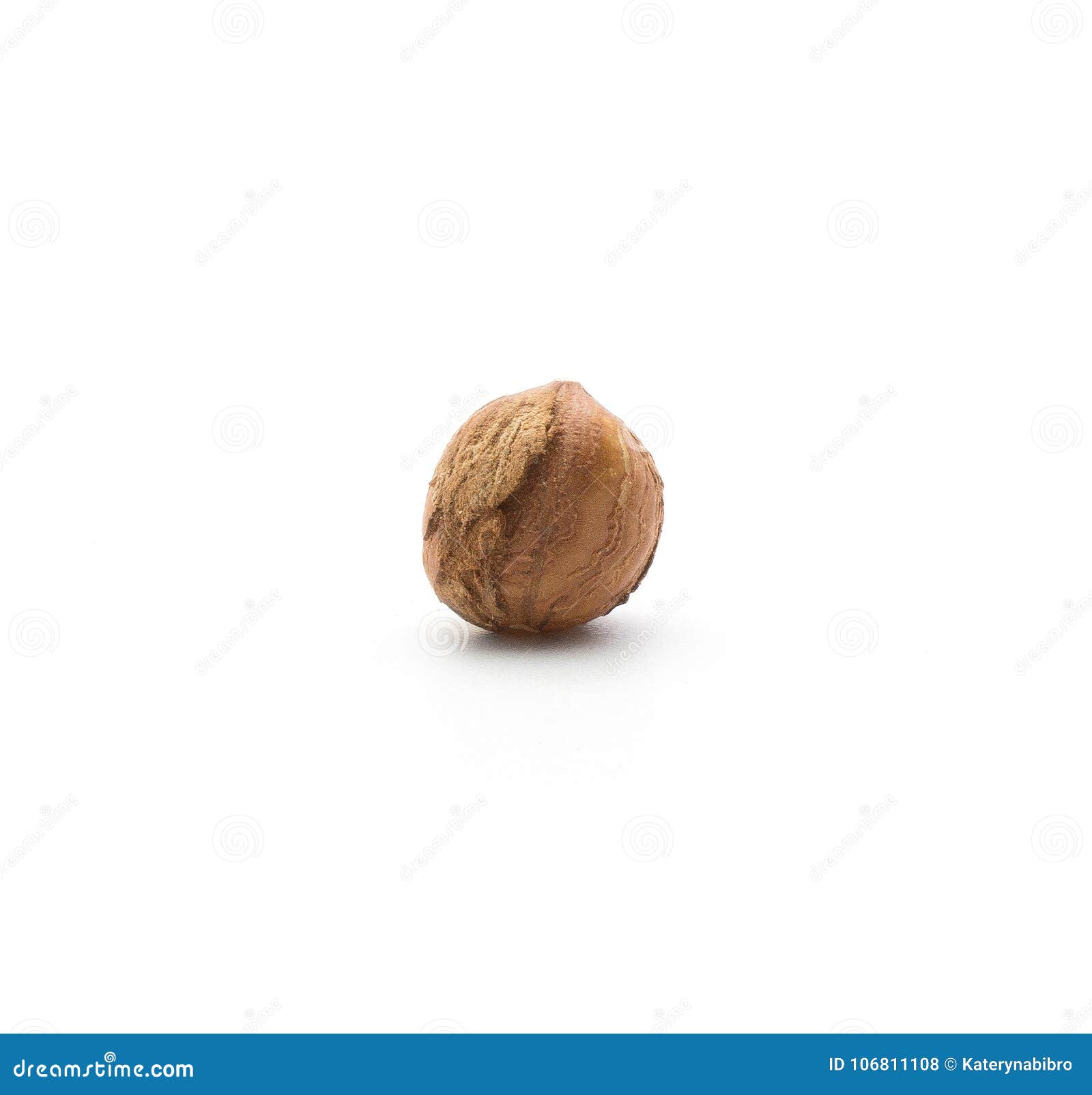 Fresh Hazelnut isolated stock photo. Image of elongated 106811108