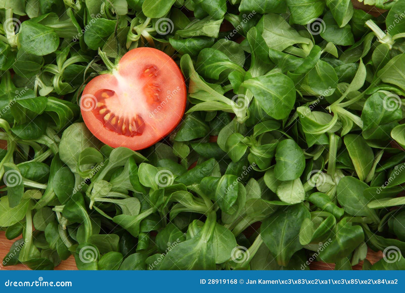 One Slice of Tomato in Green Mache Lettuce Stock Photo Image of ripe