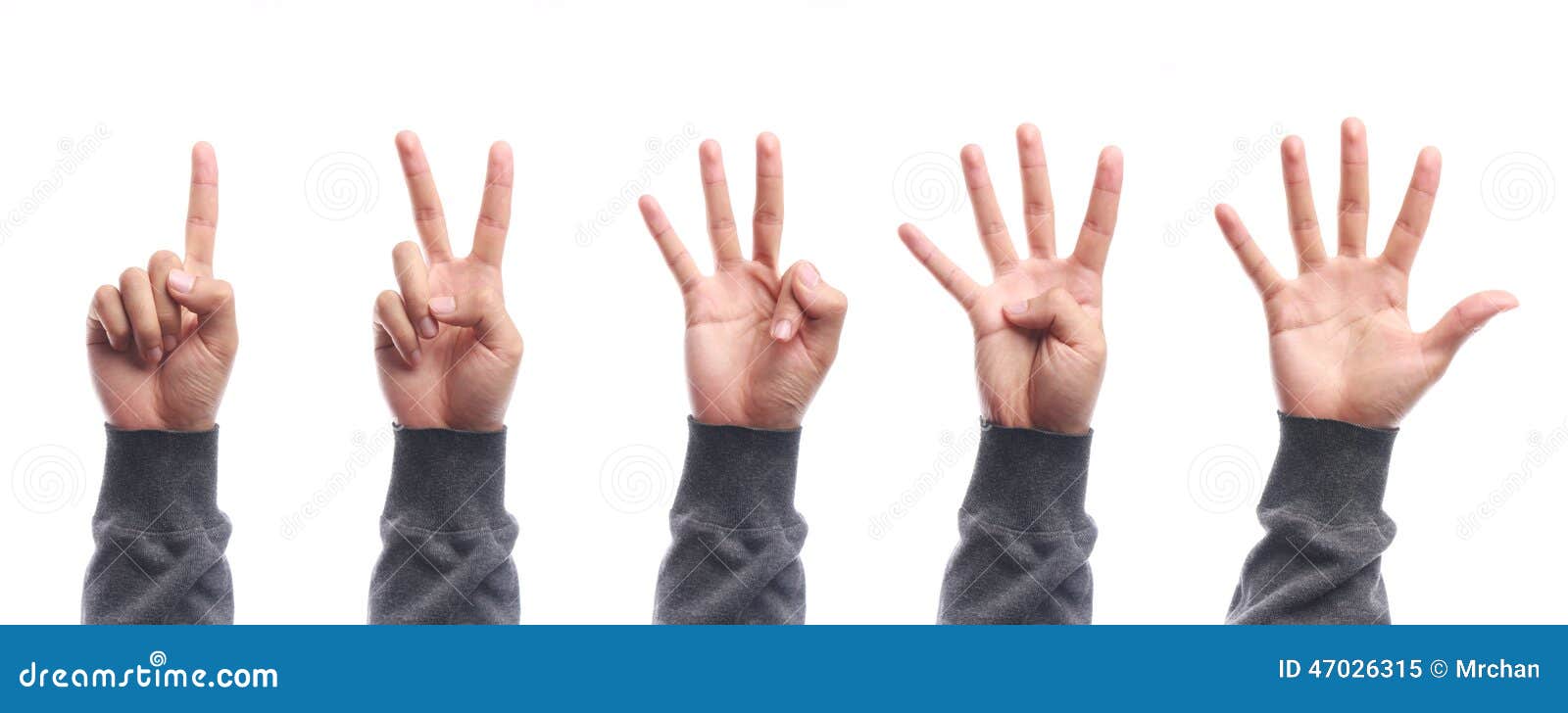3d Number One Hand Sign Stock Photo, Picture and Royalty Free Image. Image  7248080.