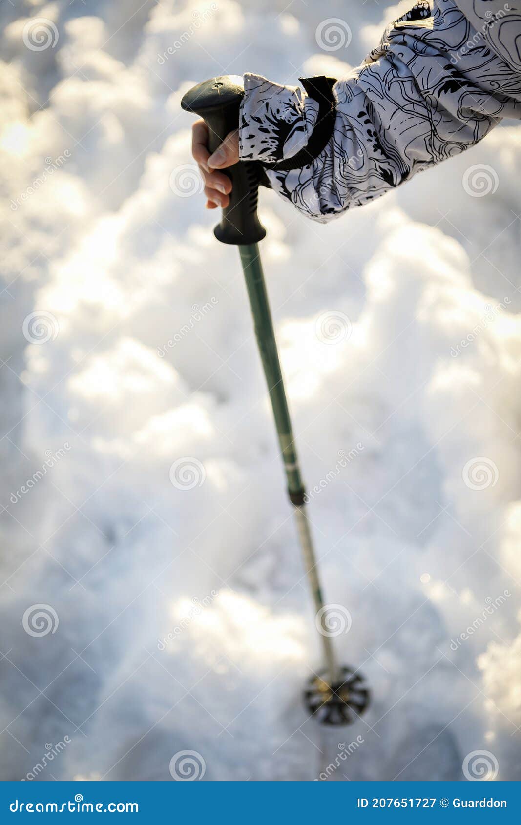 One Trekking Pole Sticked To the Snow Stock Image Image of tourism