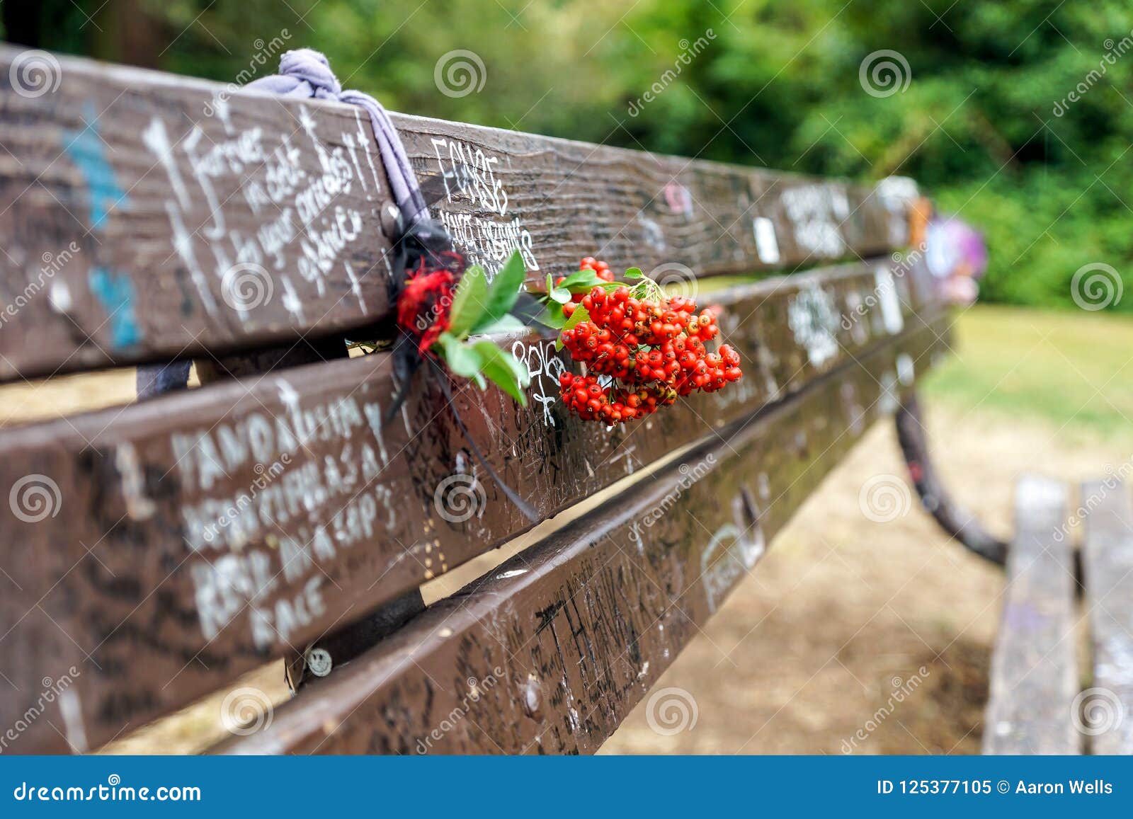 Kurt Cobain Memorial Bench Stock Image Image Of Puget 125377105