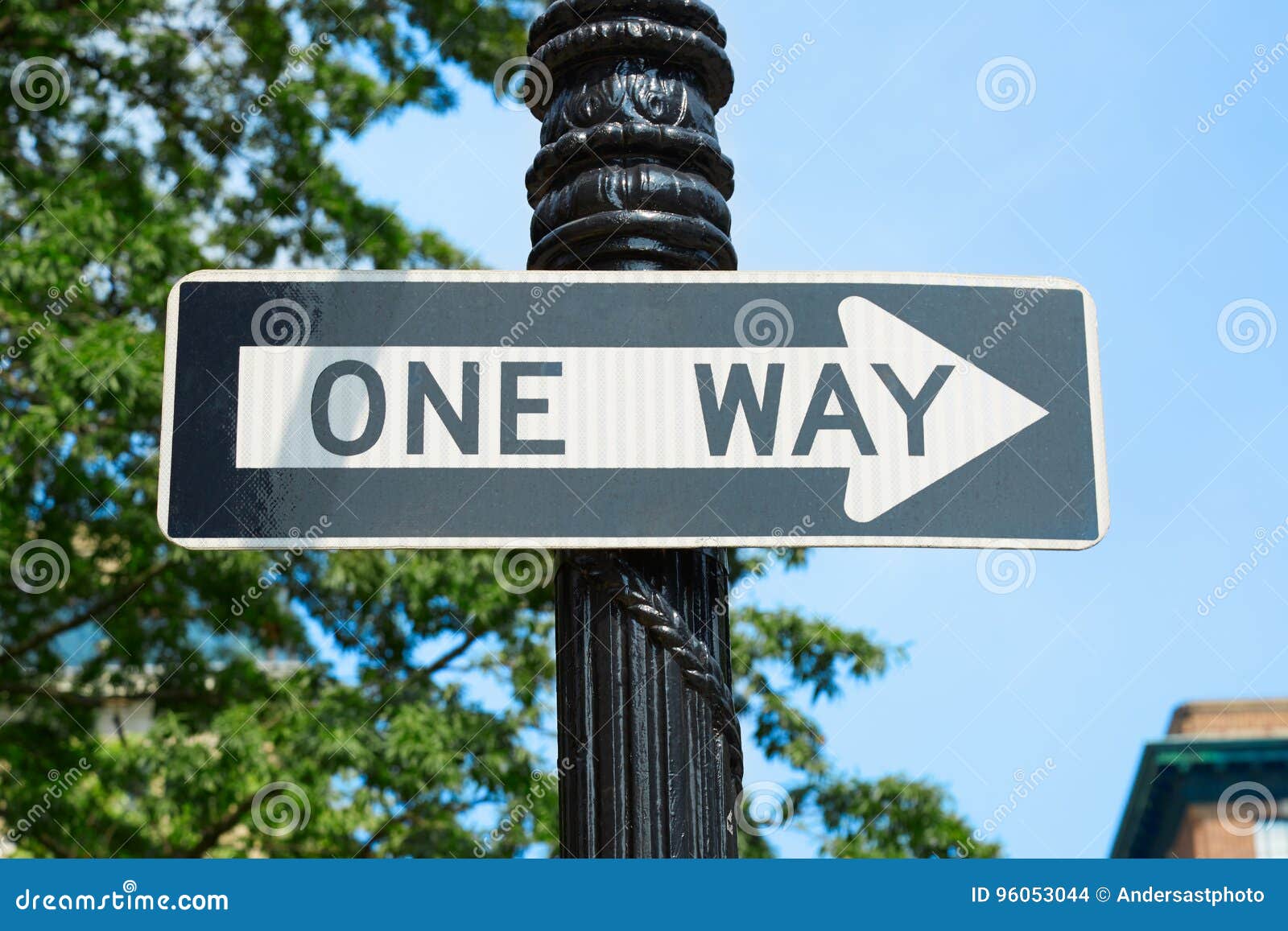 One Way Street Sign In New York With Green Tree Branches Stock Photo ... One Way Street Signs