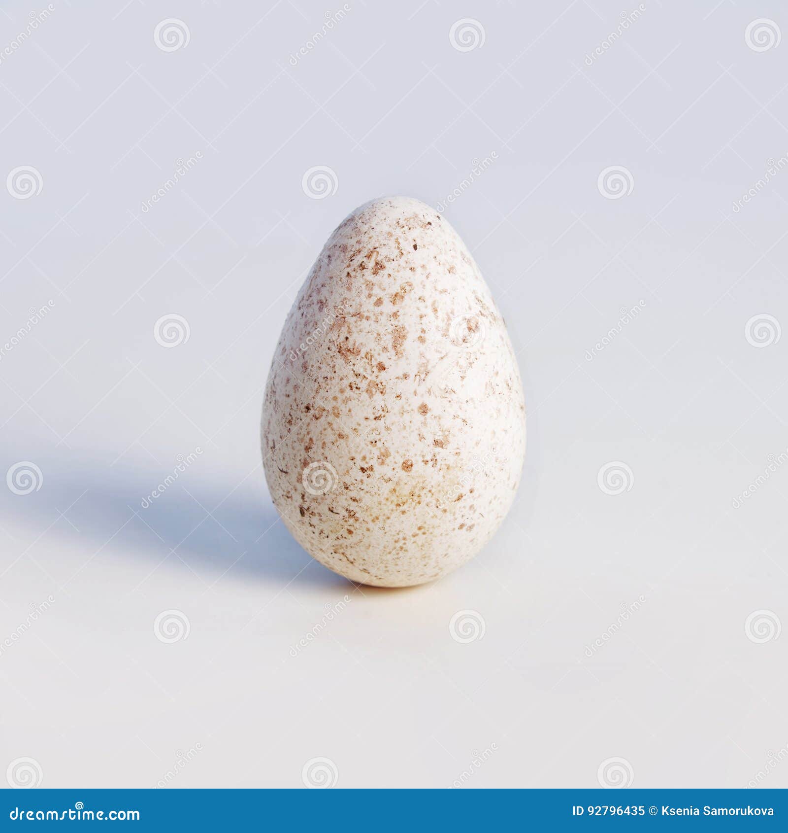 One White Spotted Turkey Egg Stock Image Image of food, standing 92796435