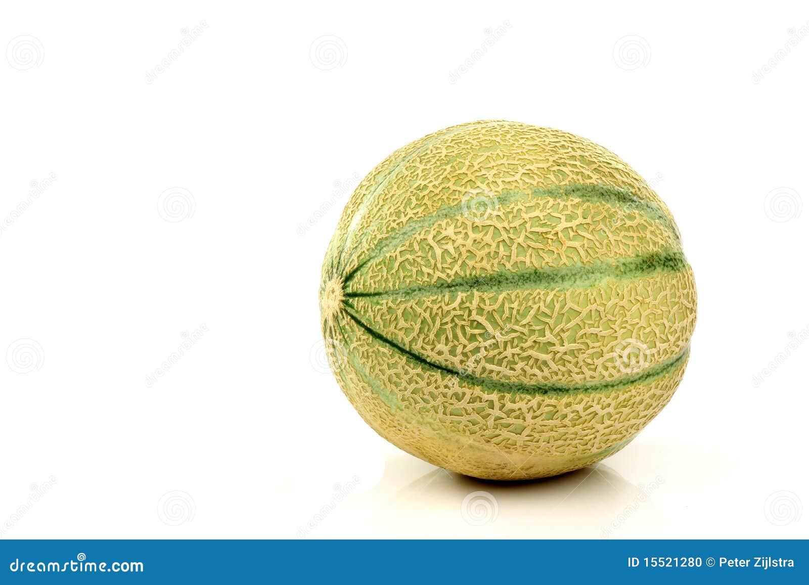 One whole cantaloupe melon stock photo. Image of breakfast 15521280