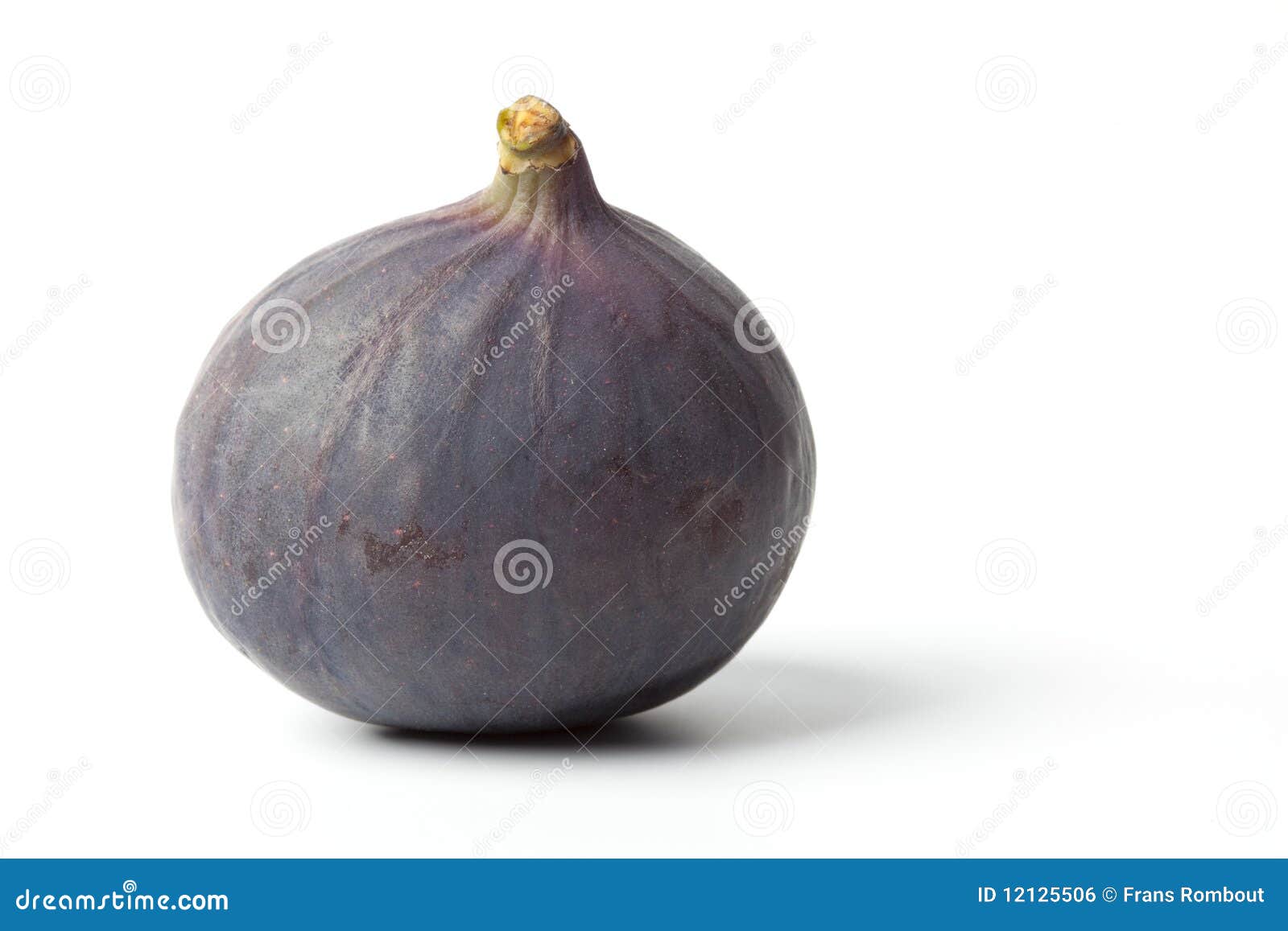 One Whole Fresh Fig Stock Photo Image Of Food Carica 12125506