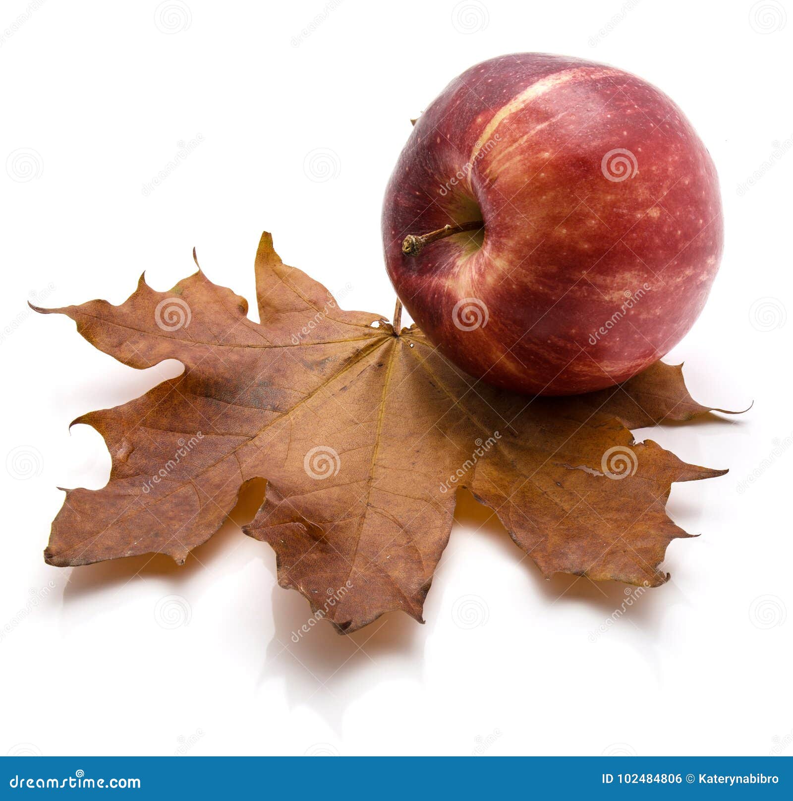 Gala Apple with Maple Leaf on White Background Stock Photo Image of