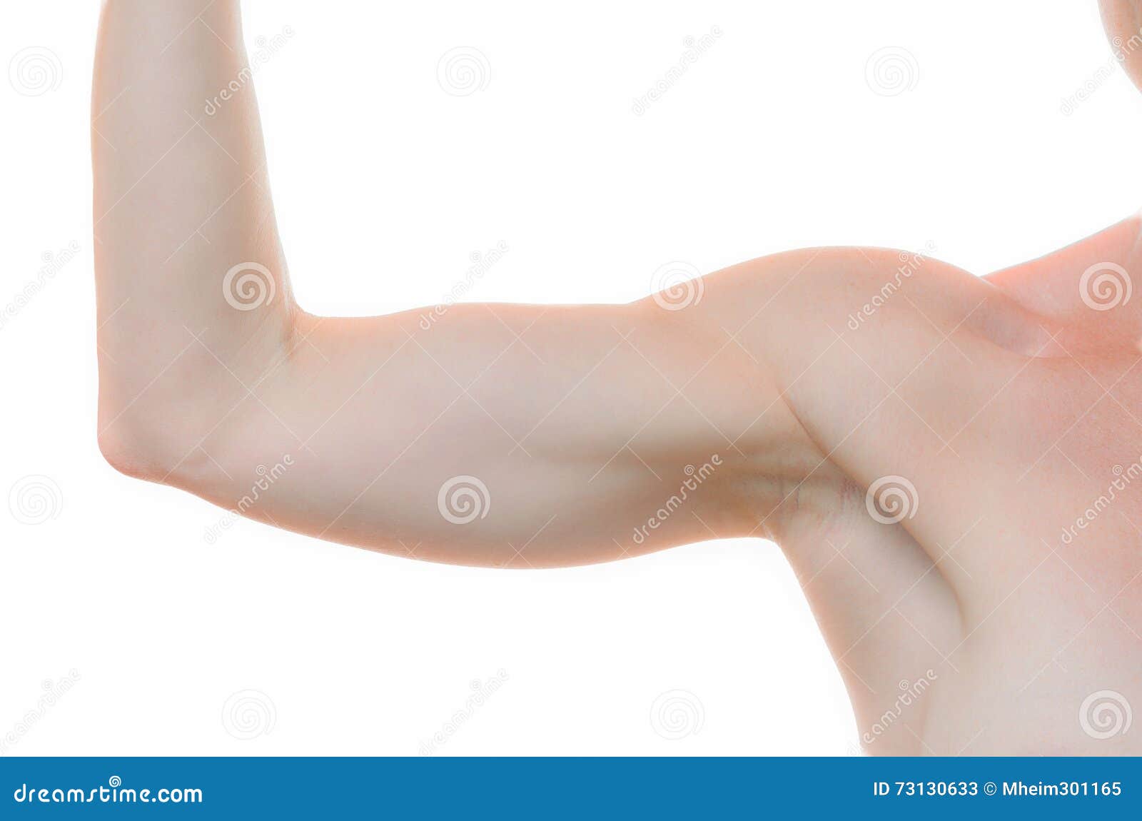 One Woman Bare Shoulder and Arm Bent at the Elbow Stock Image Image