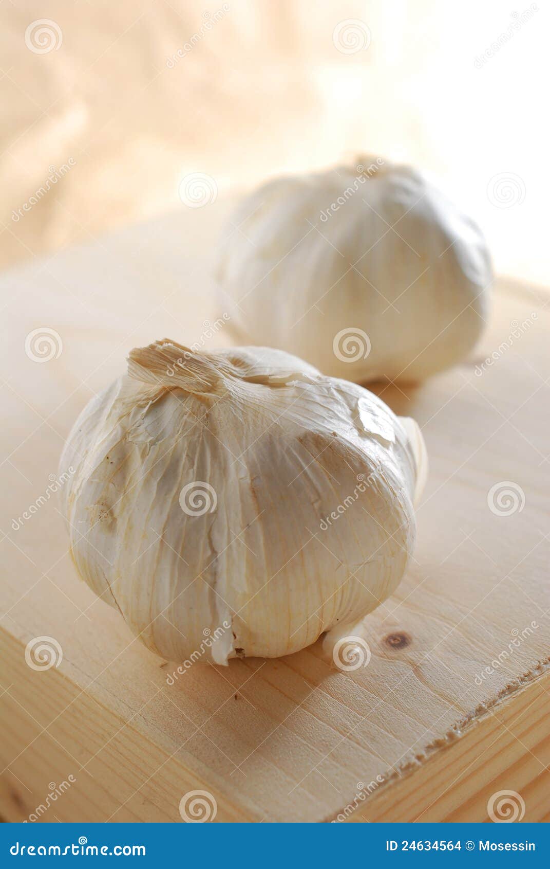 Root Tip Of Onion And Mitosis Cell In The Root Tip Stock Image