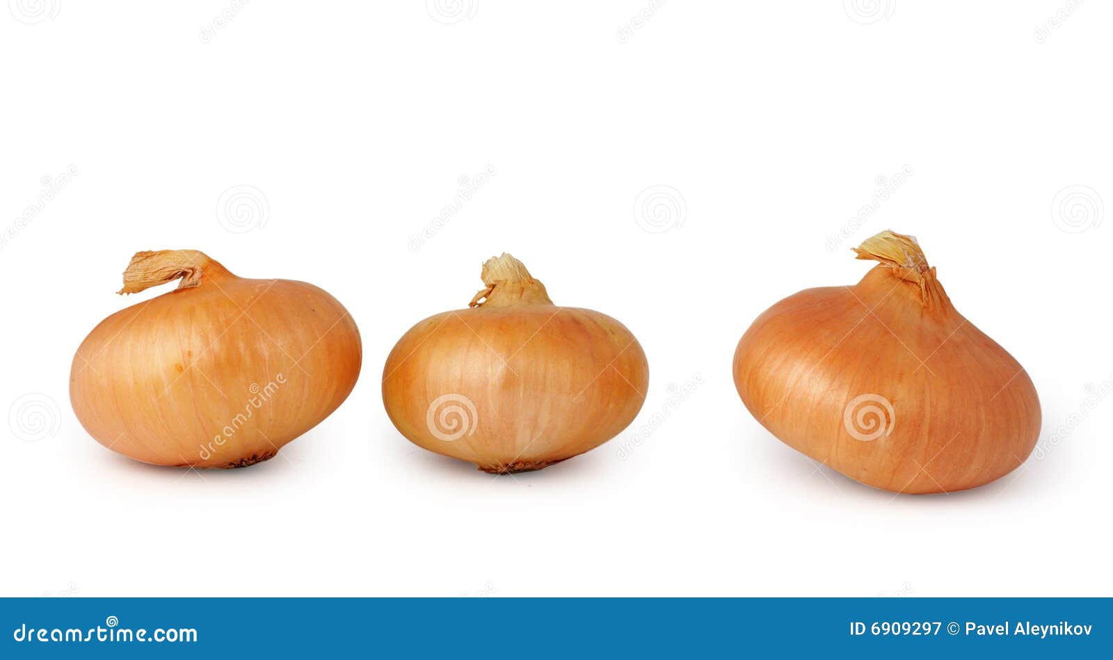 Onion stock image. Image of freshness, spanish, unpeeled 6909297
