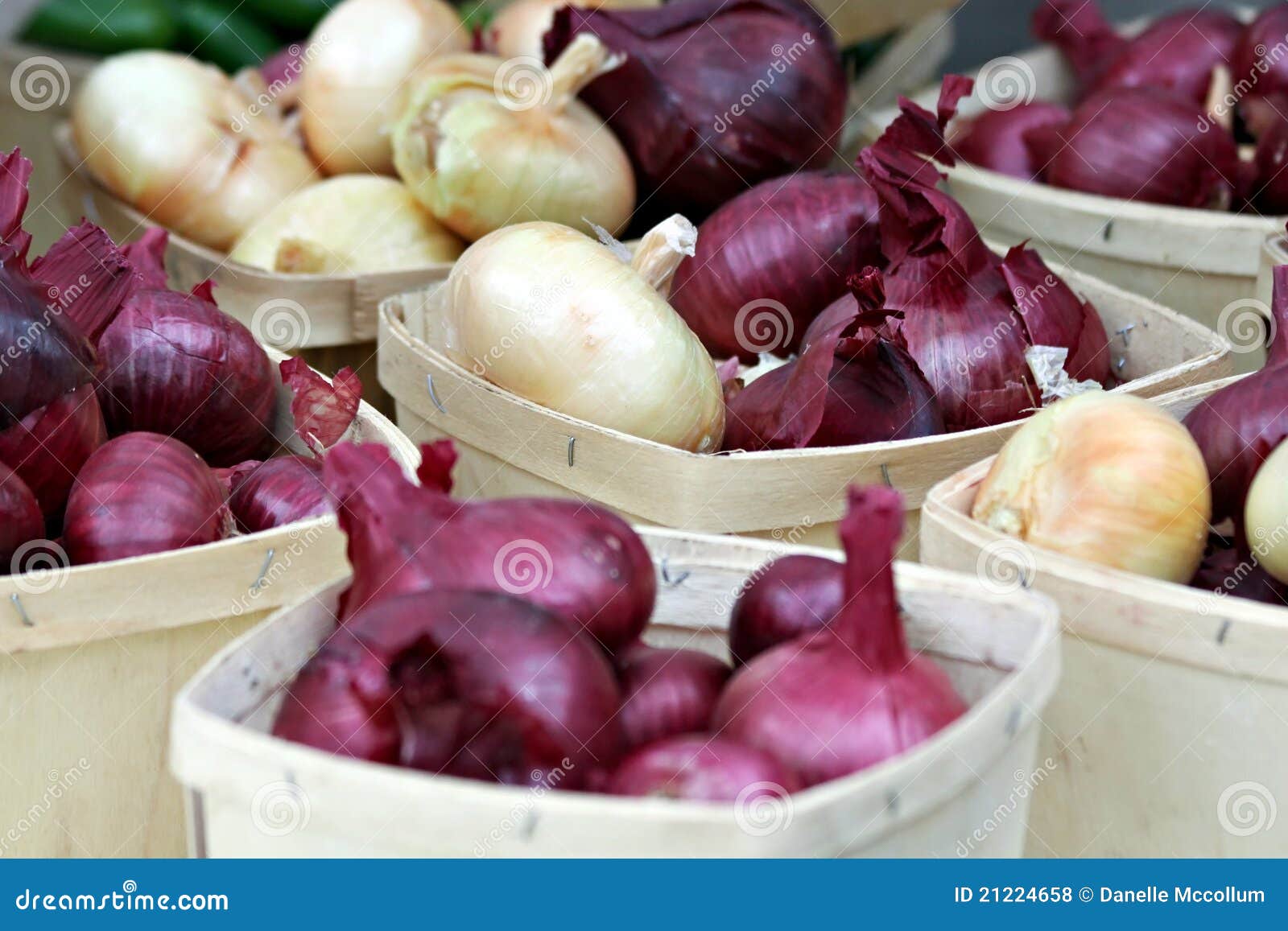 Onion Baskets stock photo. Image of healthy, cook, root 21224658