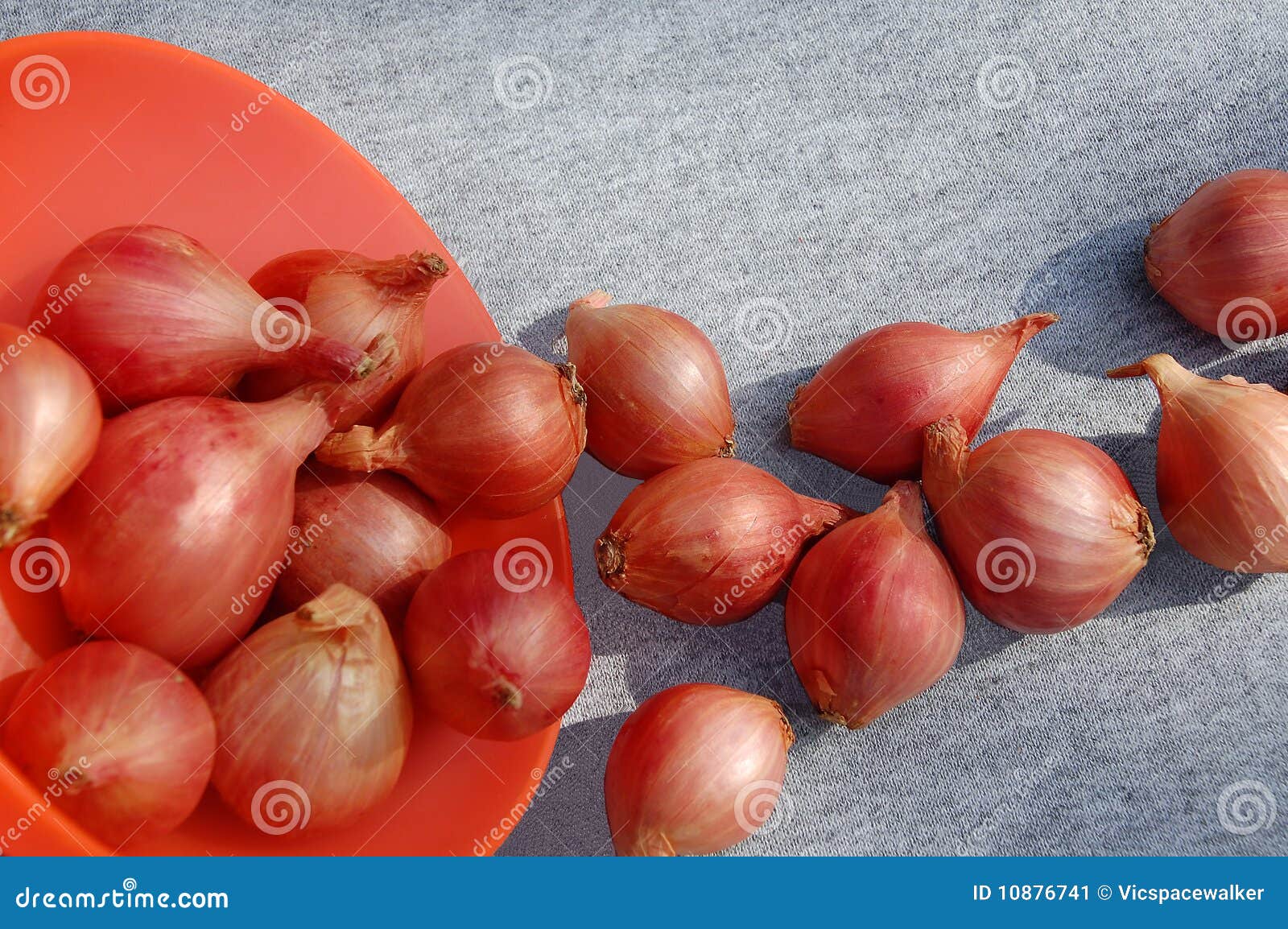 Onion Bulbs and the Bowl stock image. Image of agriculture 10876741
