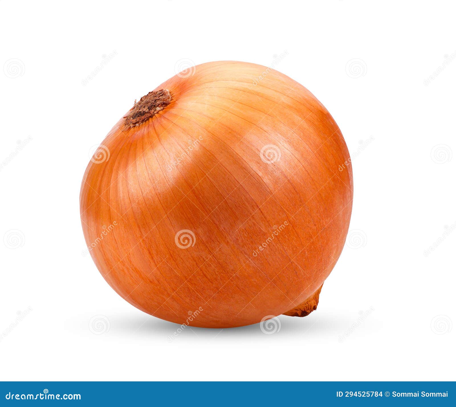Onion Bulbs Isolated on White Stock Photo Image of onion, seasoning