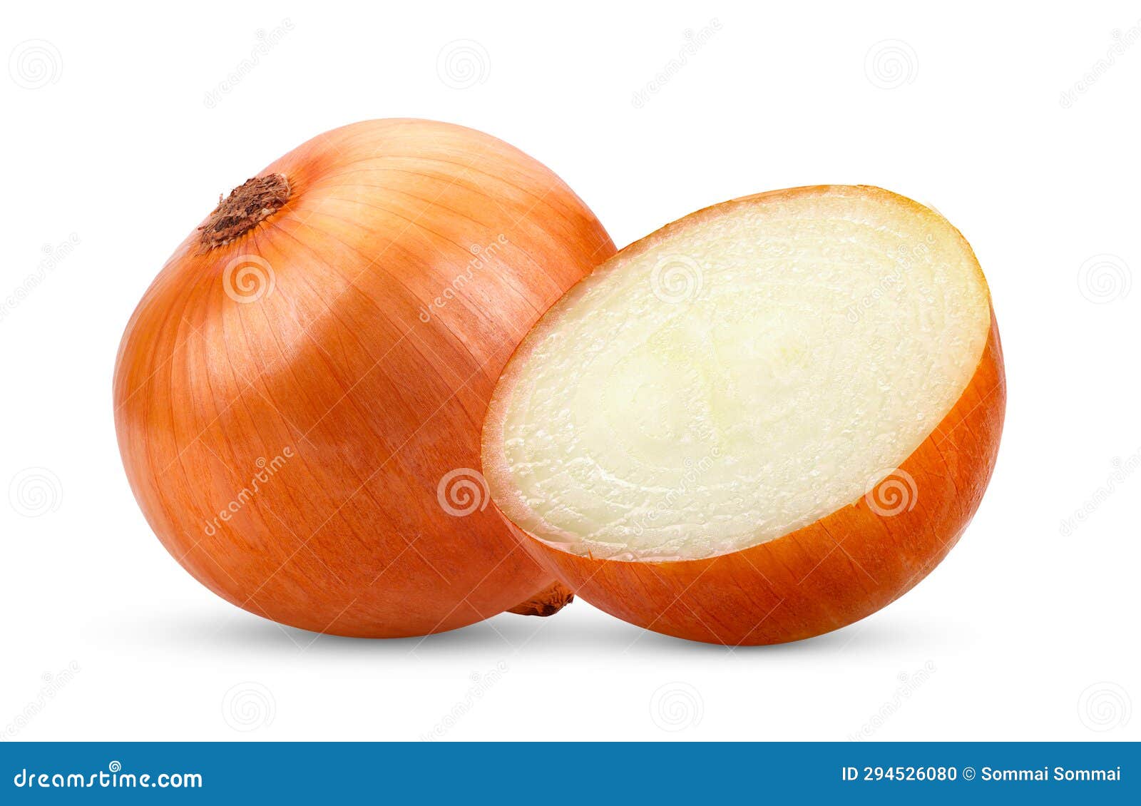 Onion Bulbs Isolated on White Stock Photo Image of ingredient, spice