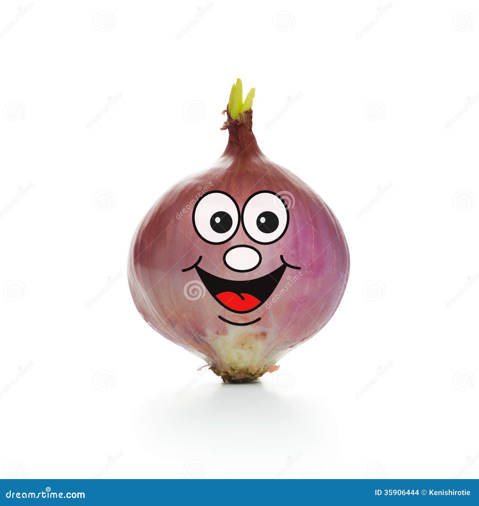 2,564 Funny Onion Stock Photos - Free & Royalty-Free Stock Photos from  Dreamstime