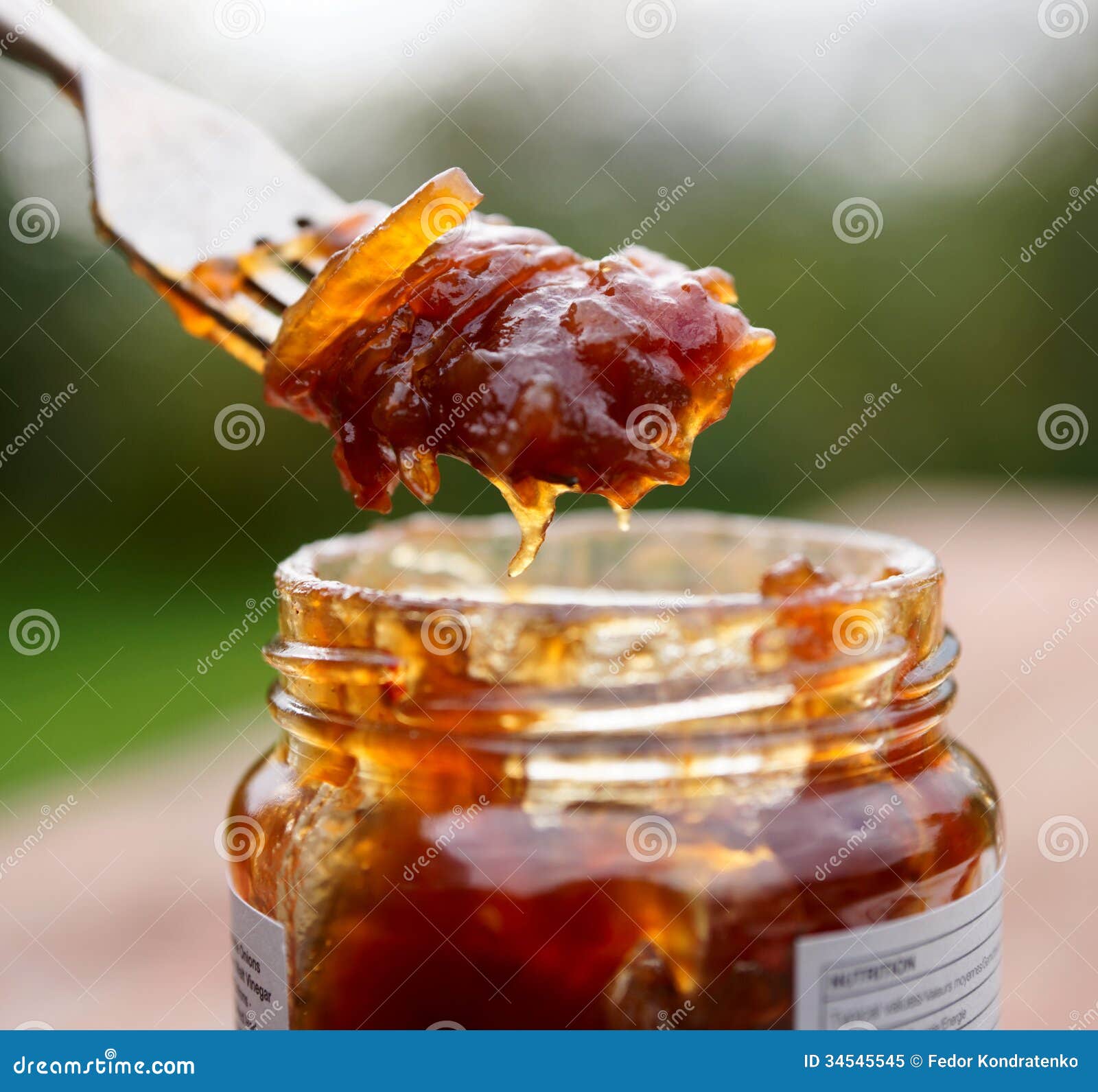 Onion chutney stock image. Image of cuisine, dish, gourmet 34545545