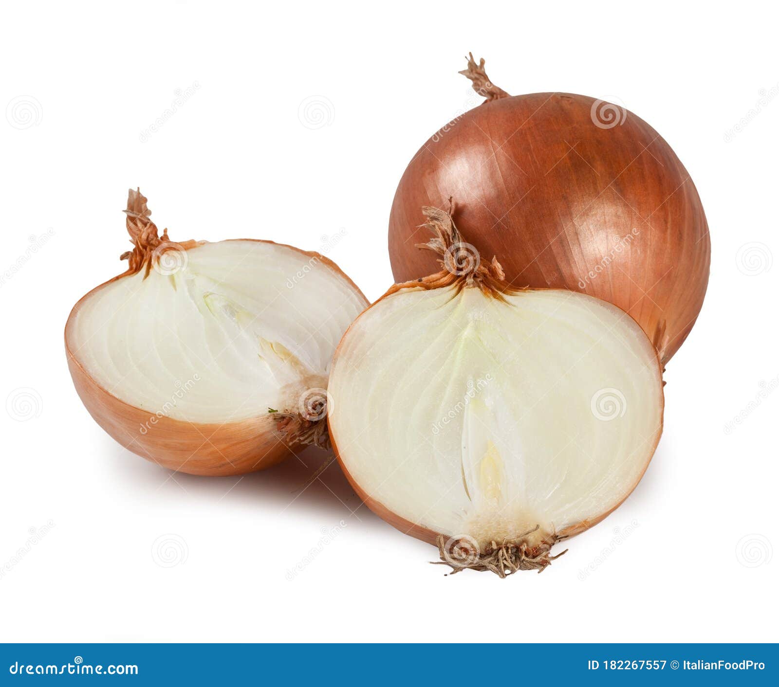onion - `cipolla`  on white