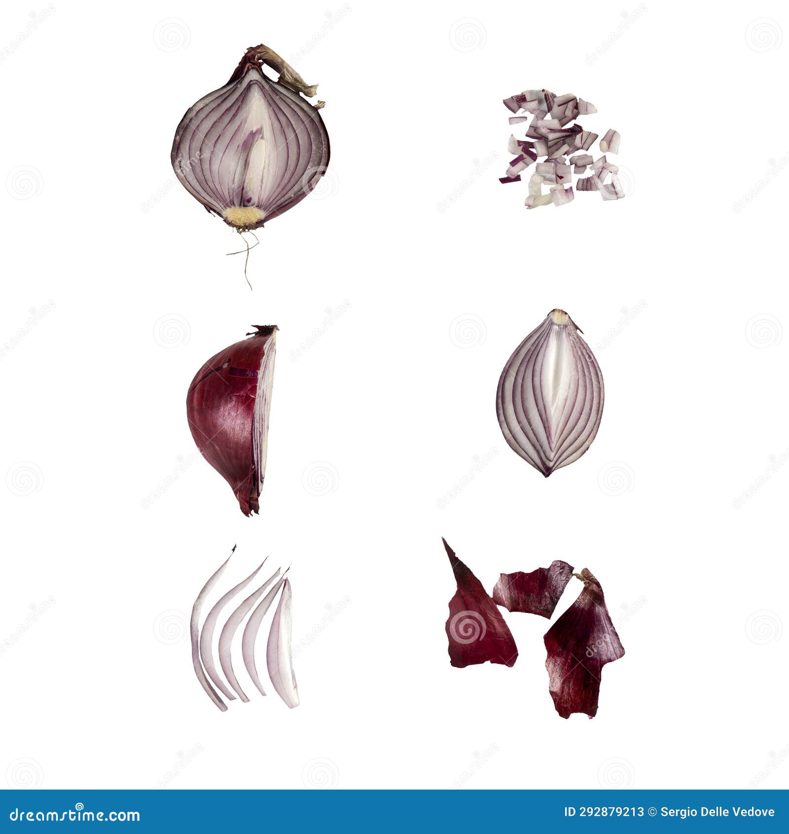 Onion s evolution stock image. Image of kitchen, onion 292879213
