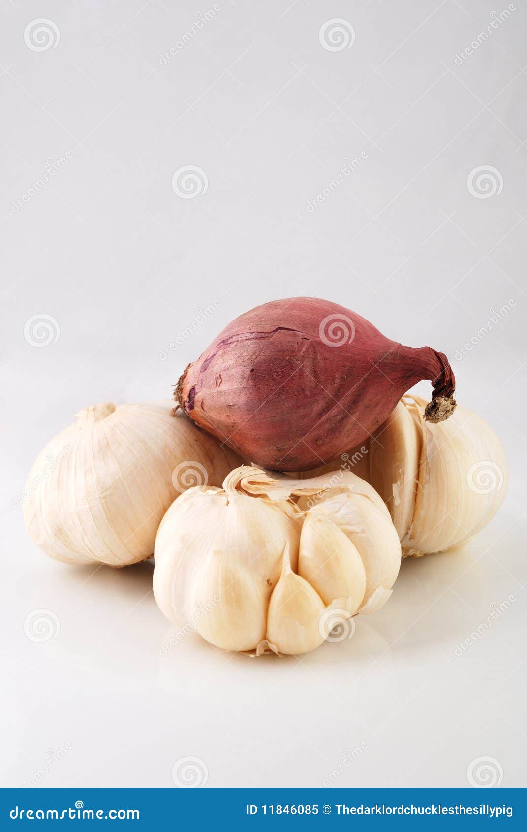 Onion and Garlic stock image. Image of vampire, food 11846085