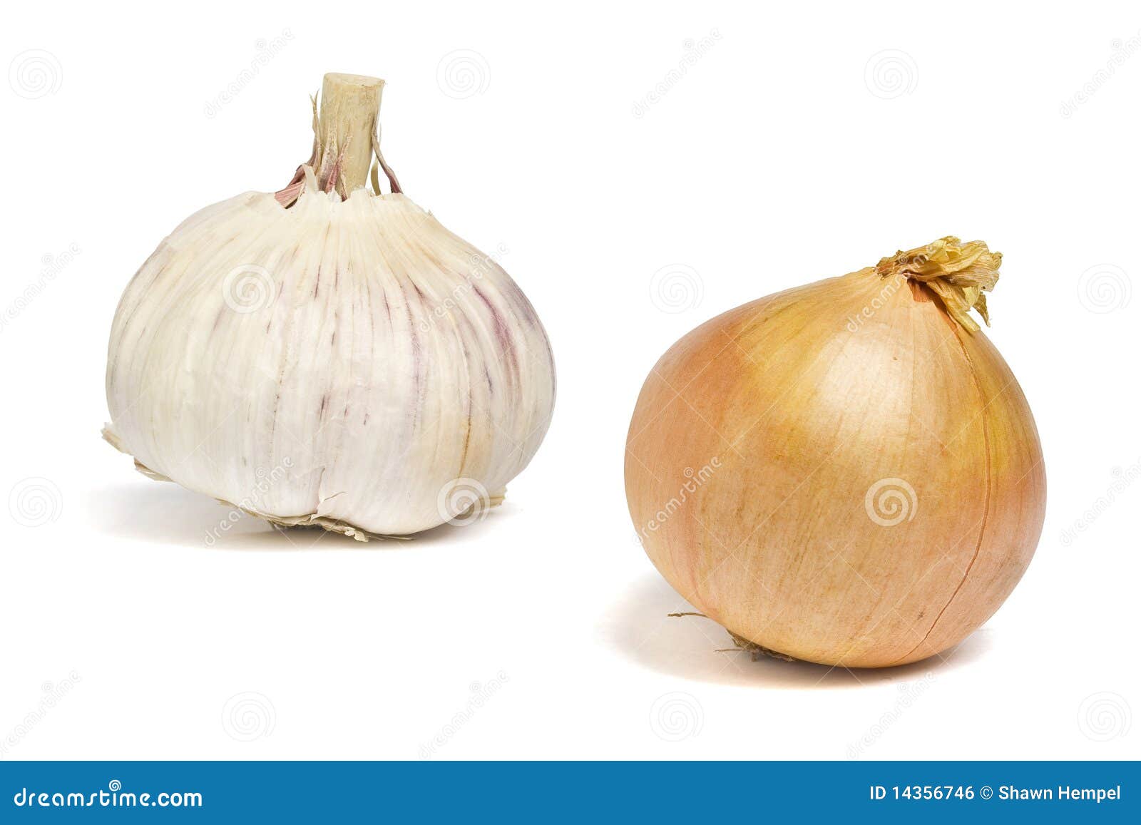 Onion and garlic stock photo. Image of health, object 14356746