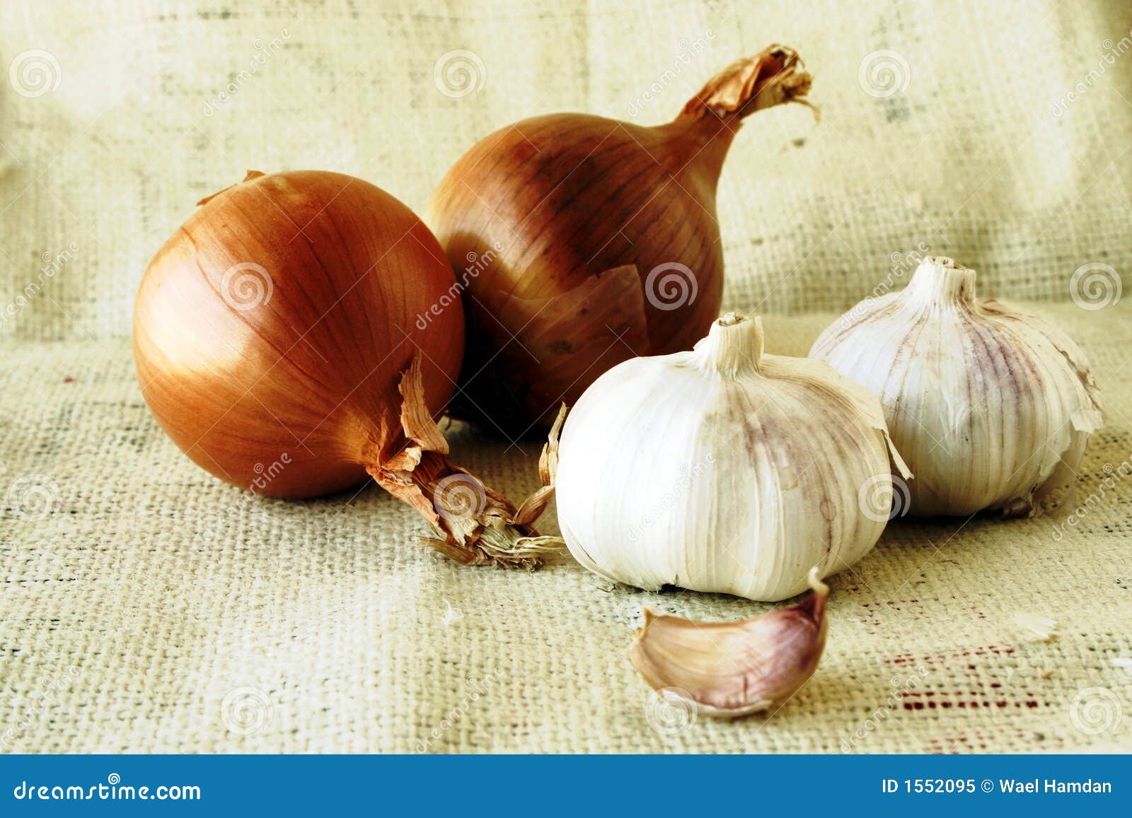 Onion & garlic stock image. Image of still, onion 1552095