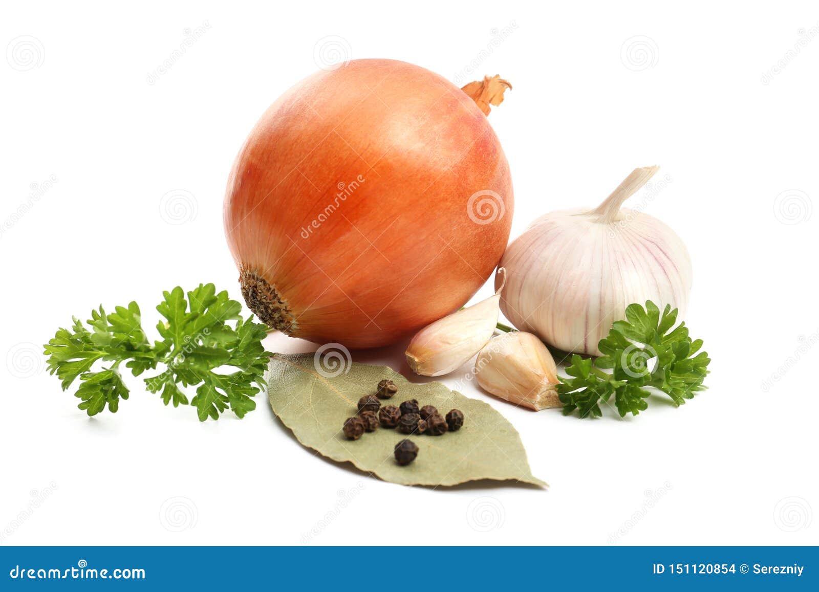 Onion and Garlic with Spices on White Background Stock Photo Image of