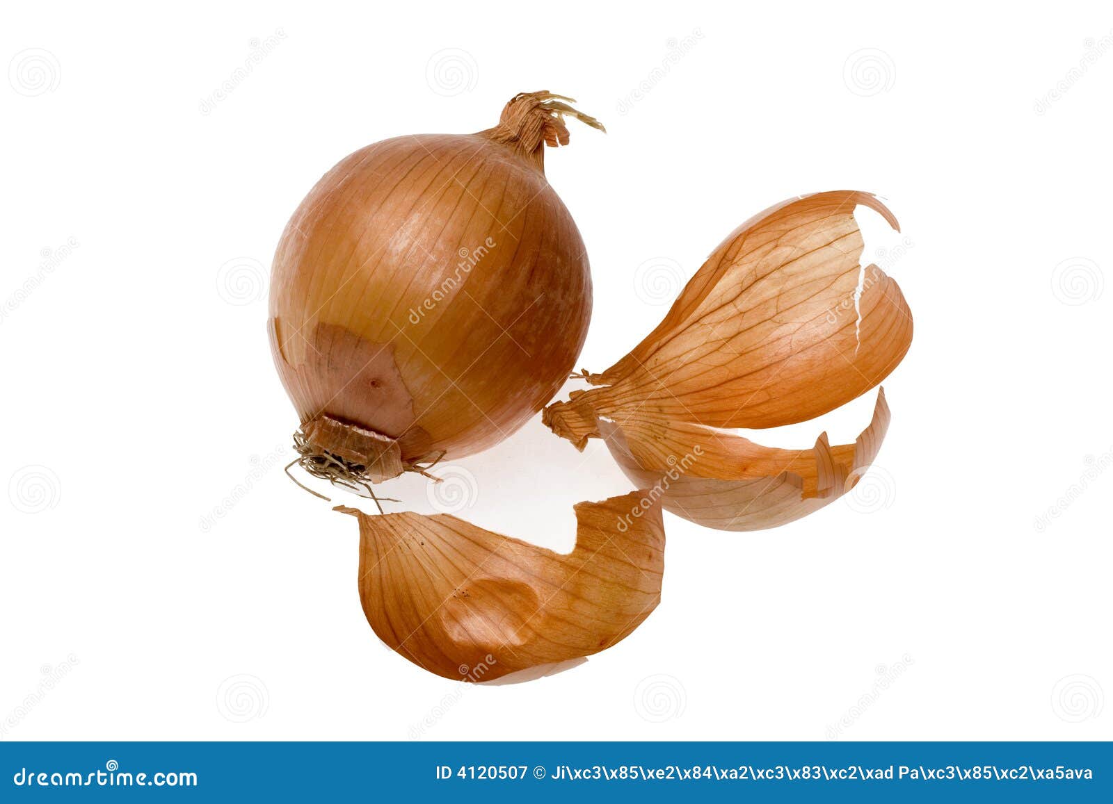 Onion and peel stock image. Image of chopping, healthy 4120507