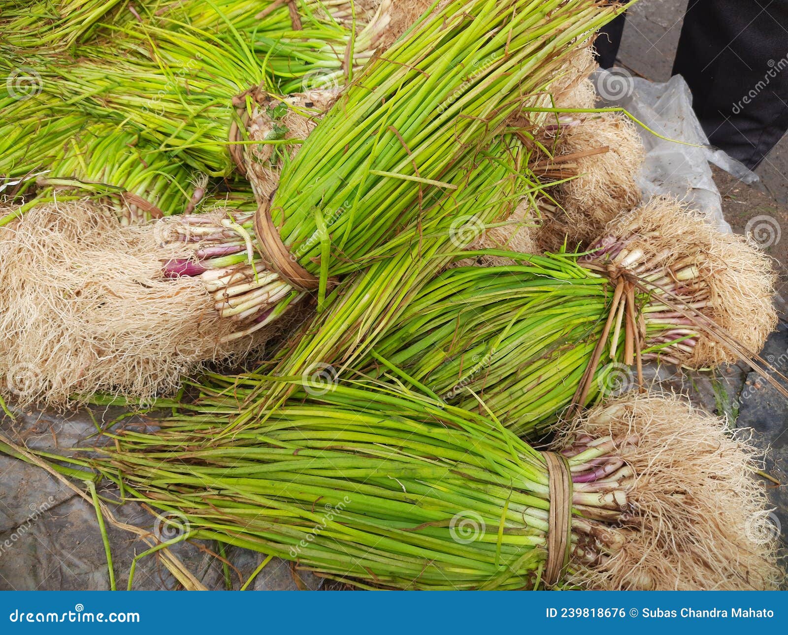 Onion Plant in Vegetable Market. Stock Photo Image of leaf, market